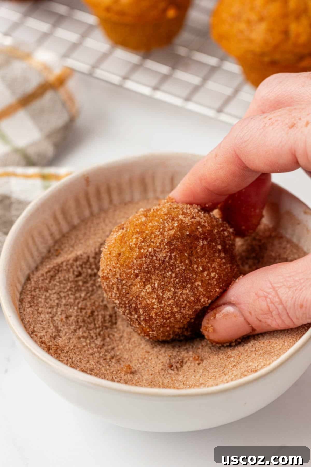 coated pumpkin mini muffin
