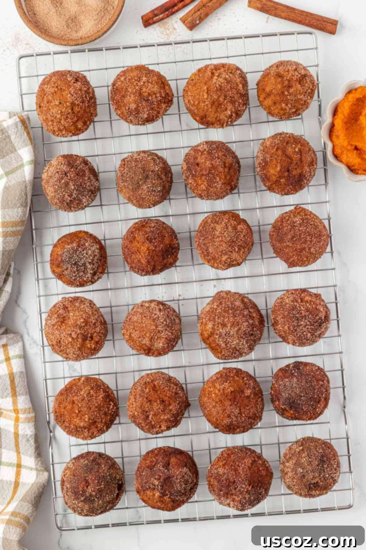 freshly coated pumpkin donut mini muffins