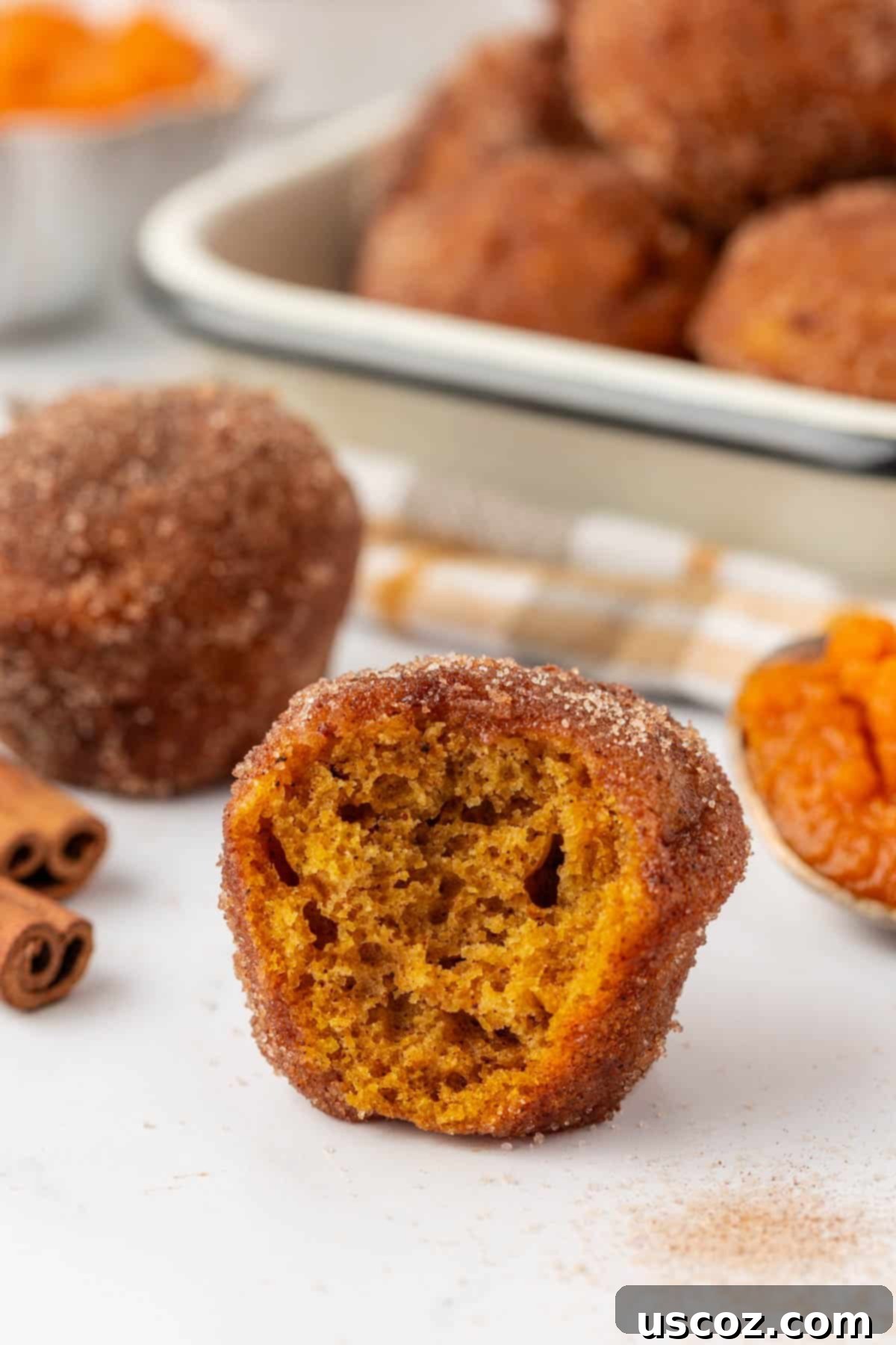 pumpkin donut mini muffins on a plate with cinnamon sticks