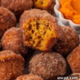 delicious pumpkin donut mini muffins