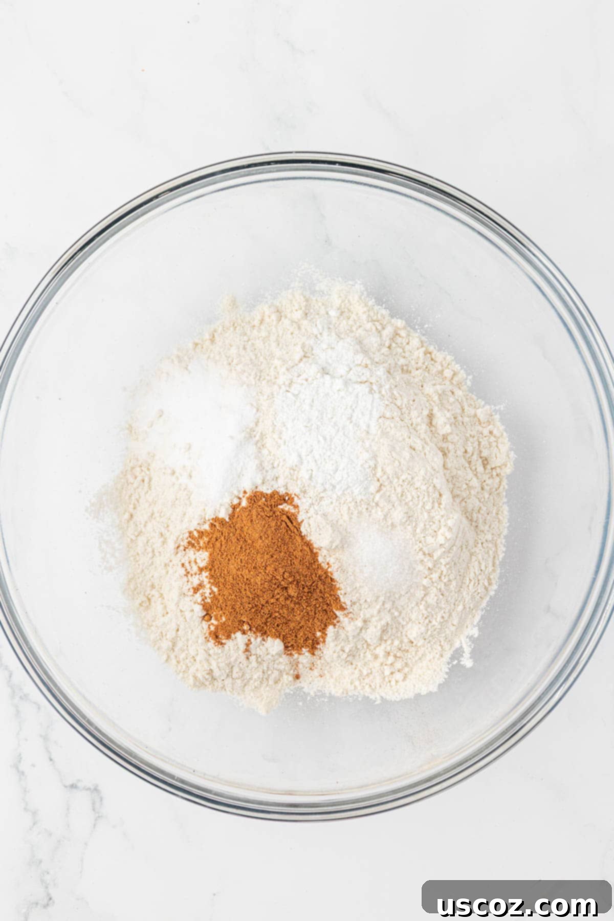 dry ingredients in a mixing bowl for muffins