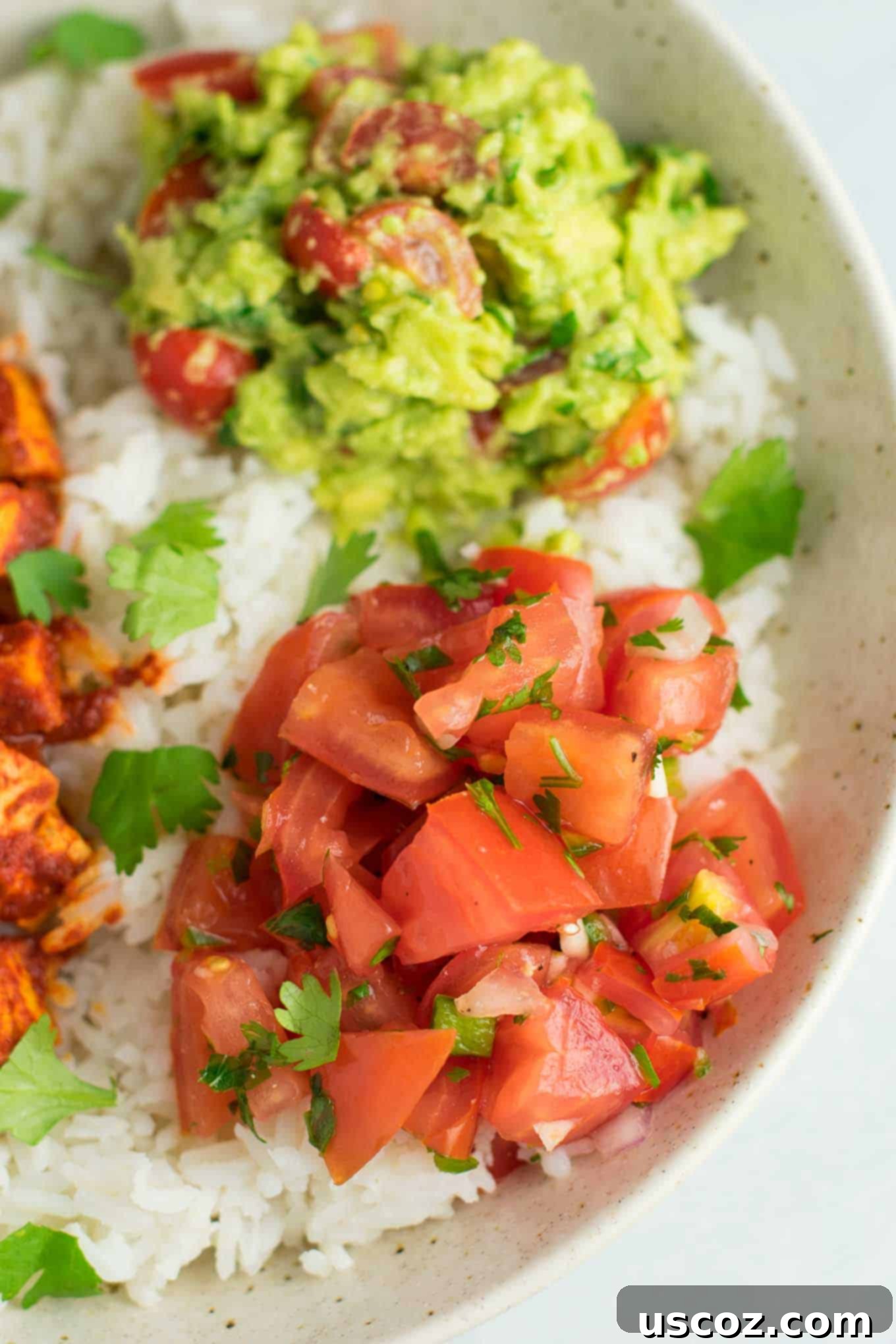 Effortless Enchilada Tofu Burrito Bowls 6 Easy enchilada tofu burrito bowls with homemade guacamole and salsa. Bring chipotle to your kitchen with this delicious recipe! #vegan #burritobowls #tofuburritobowls