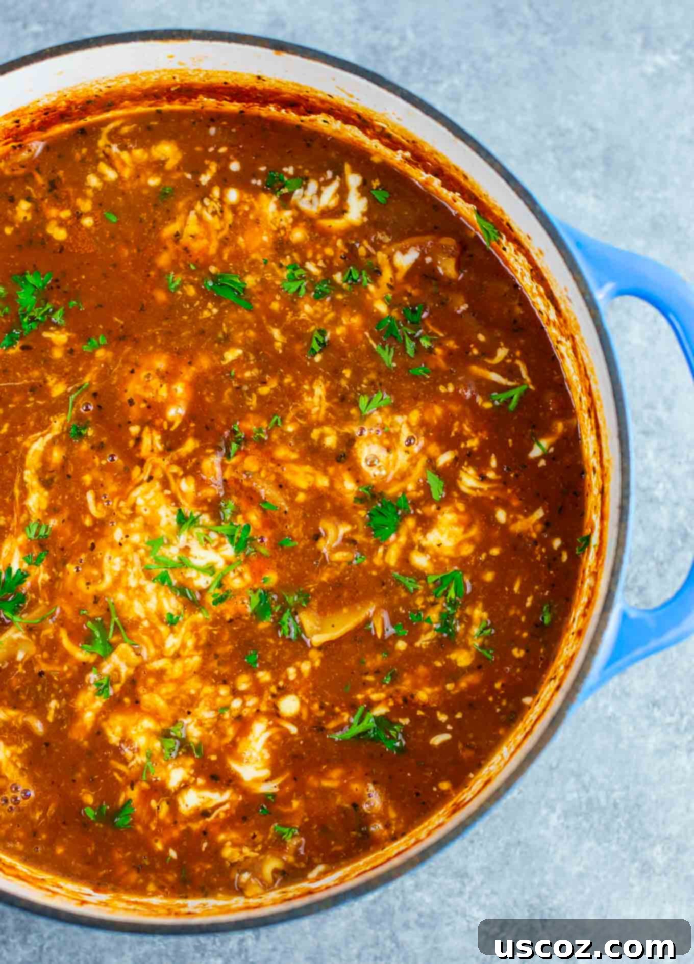Easy One-Pot Lasagna Soup 7 Close-up of hearty one-pot vegetarian lasagna soup with melted mozzarella, ready to be served
