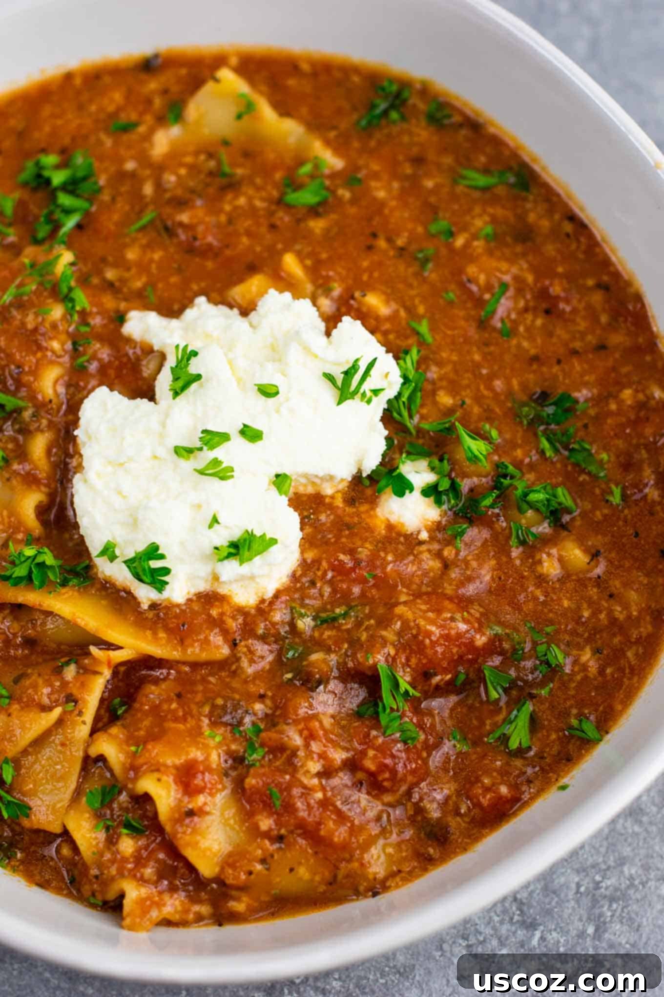 Easy One-Pot Lasagna Soup 8 Individual bowl of one-pot vegetarian lasagna soup with ricotta and parsley, ready to eat