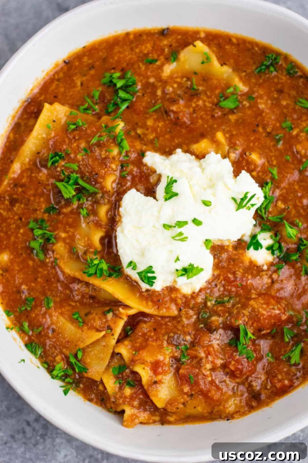 Easy One-Pot Lasagna Soup 9 Full pot of rich one-pot vegetarian lasagna soup, a perfect quick and healthy meatless dinner