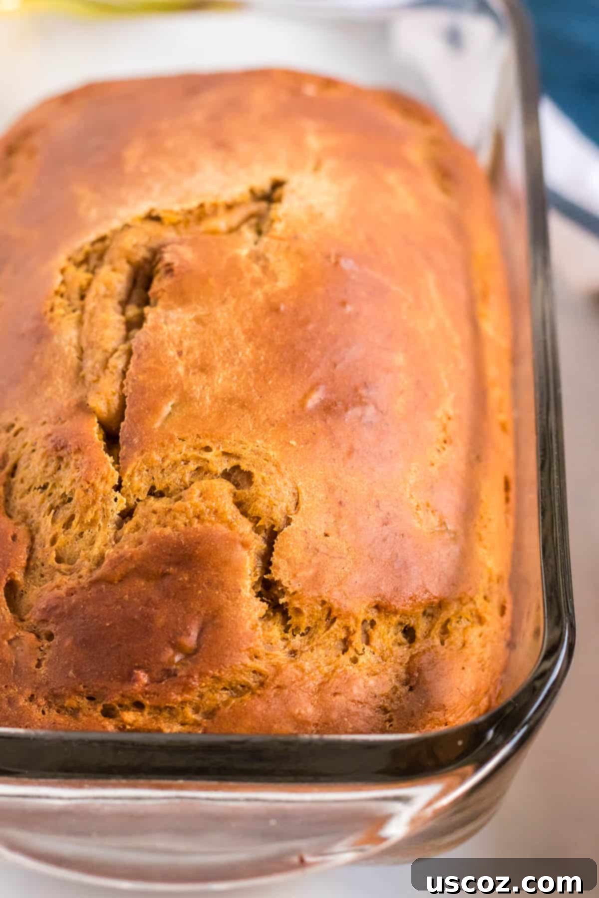 Wholesome Spiced Pumpkin and Banana Bread 7 The golden-brown crust of a freshly baked pumpkin banana bread loaf, still in its pan.