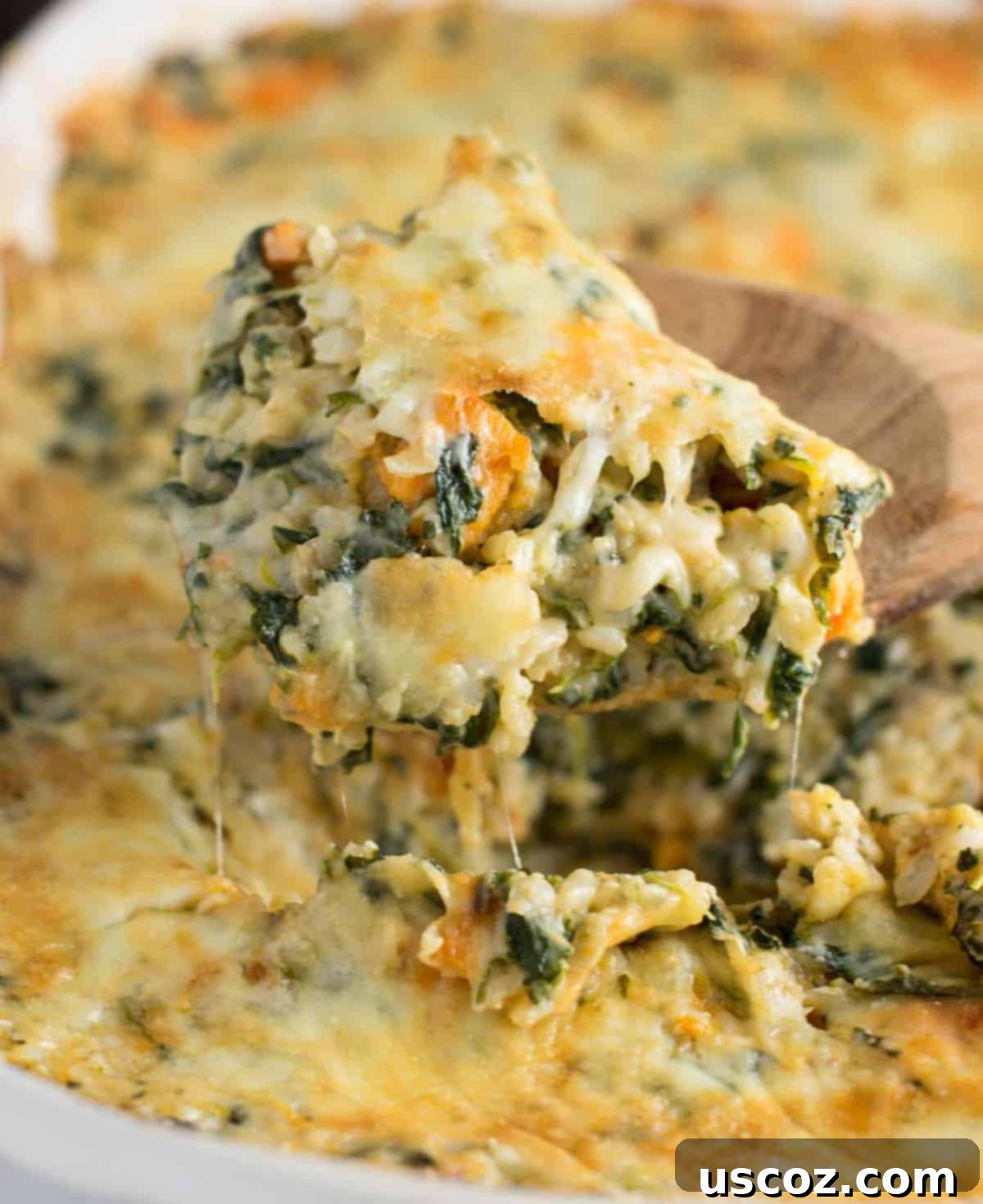 Sweet Potato Brown Rice Casserole made with greek yogurt, mushrooms, spinach, mozzarella, parmesan, and cheddar cheese - a hearty vegetarian comfort food recipe. No cream of anything soup! #casserole #vegetarian #sweetpotatobrownricecasserole #brownrice