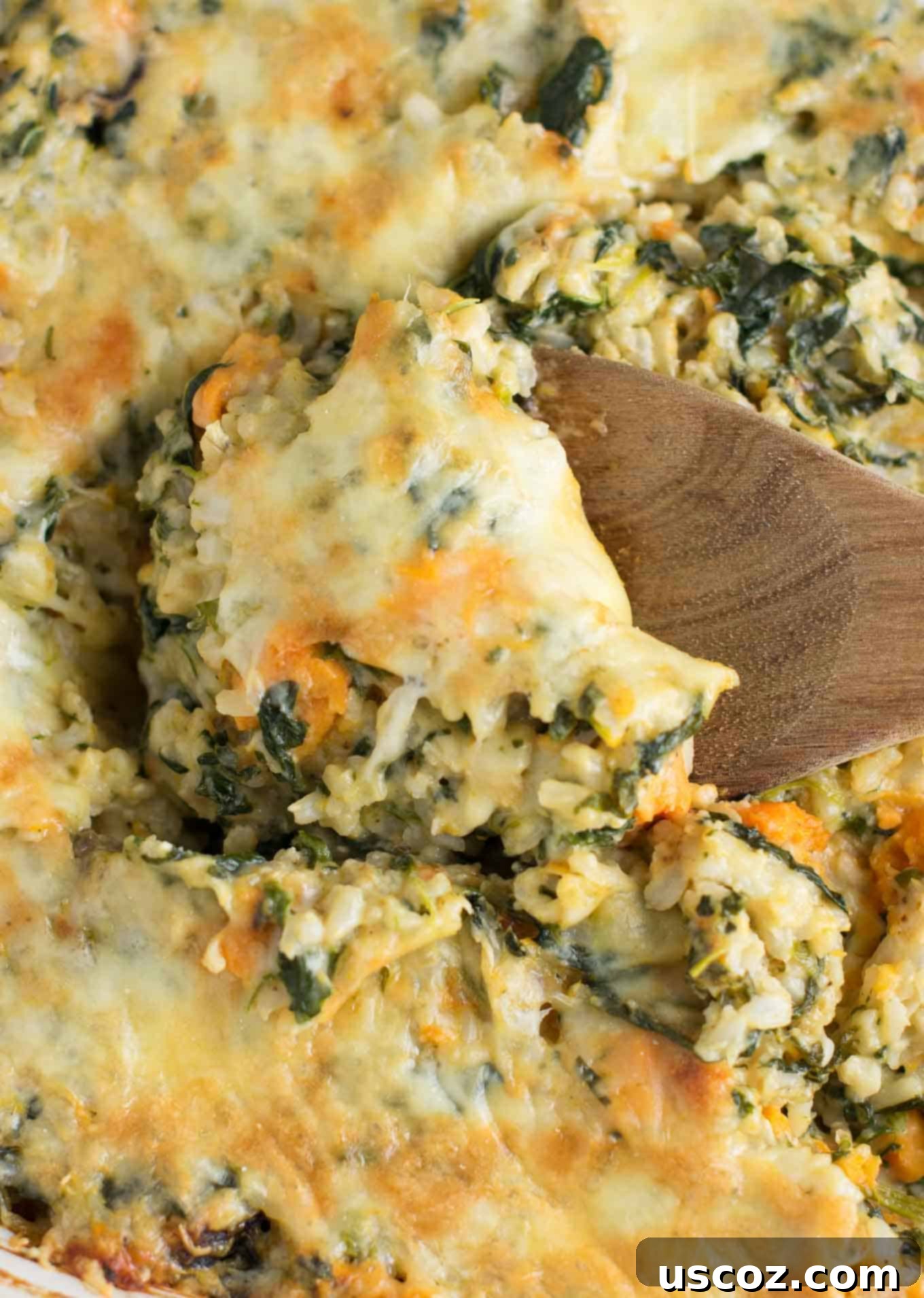 Sweet Potato Brown Rice Casserole made with greek yogurt, mushrooms, spinach, mozzarella, parmesan, and cheddar cheese - a hearty vegetarian comfort food recipe. No cream of anything soup! #casserole #vegetarian #sweetpotatobrownricecasserole #brownrice