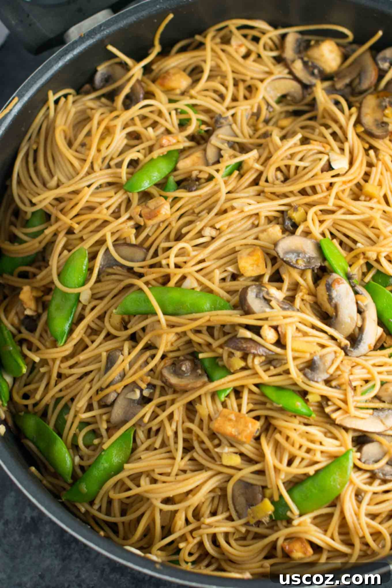Effortless Tofu Lo Mein 2 Easy Tofu Lo Mein recipe with fresh vegetables and a simple sauce. Ready in minutes and packed full of protein! #tofu #lomein #vegan #vegetarian