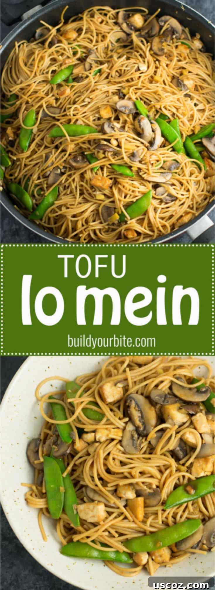 Effortless Tofu Lo Mein 12 Easy Tofu Lo Mein recipe with fresh vegetables and a simple sauce. Ready in minutes and packed full of protein! #tofu #lomein #vegan #vegetarian
