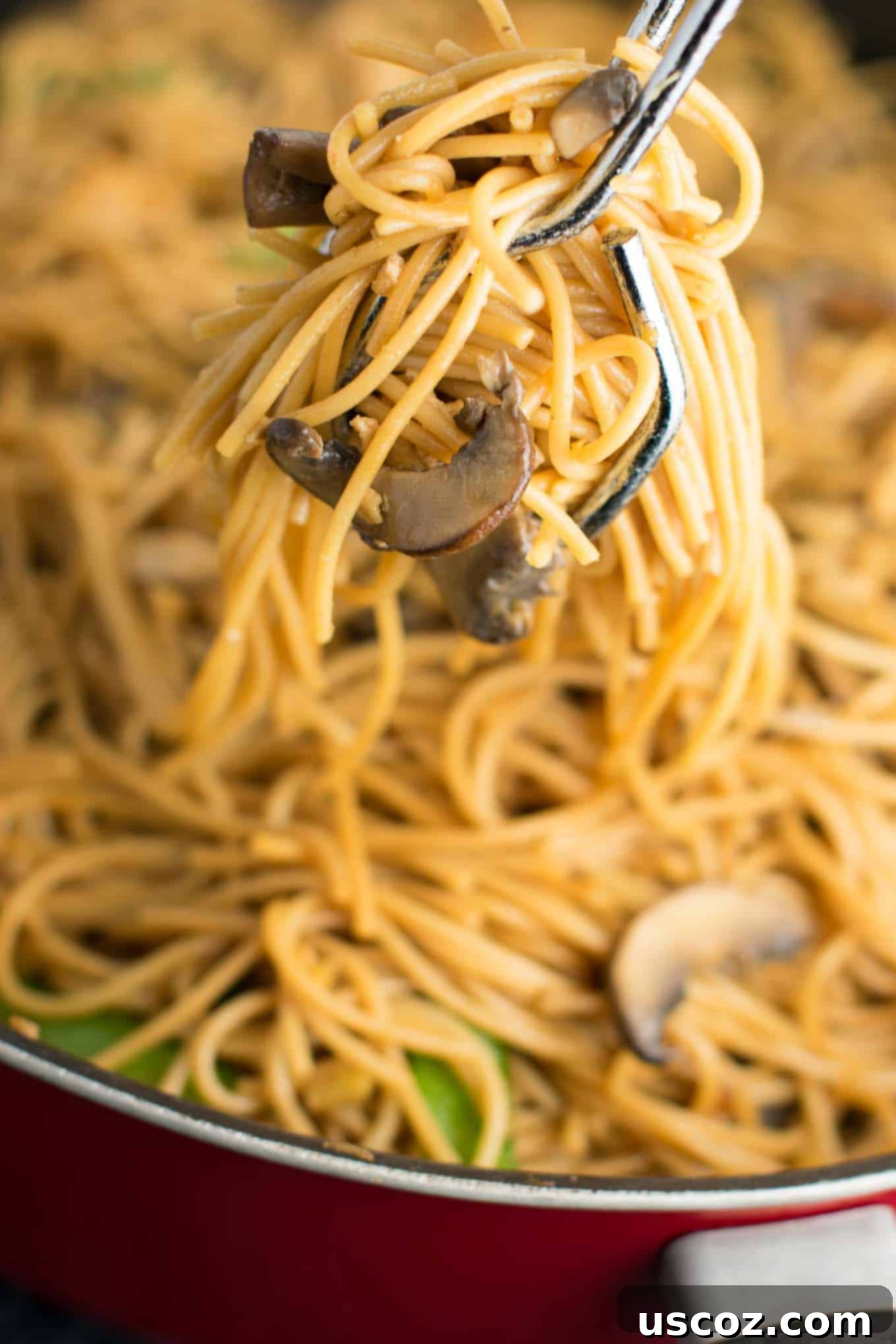 Effortless Tofu Lo Mein 4 Easy Tofu Lo Mein recipe with fresh vegetables and a simple sauce. Ready in minutes and packed full of protein! #tofu #lomein #vegan #vegetarian