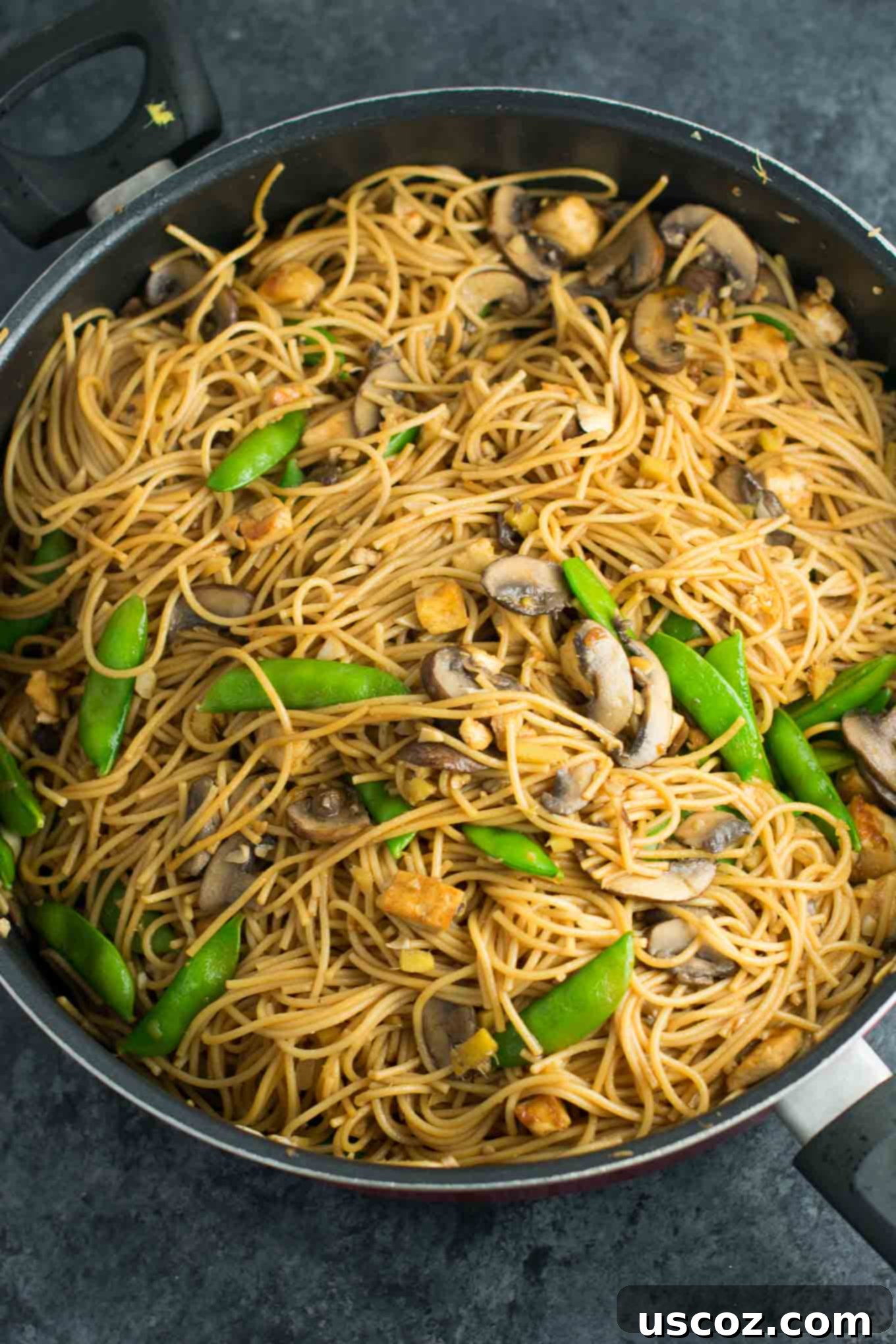 Effortless Tofu Lo Mein 6 Easy Tofu Lo Mein recipe with fresh vegetables and a simple sauce. Ready in minutes and packed full of protein! #tofu #lomein #vegan #vegetarian