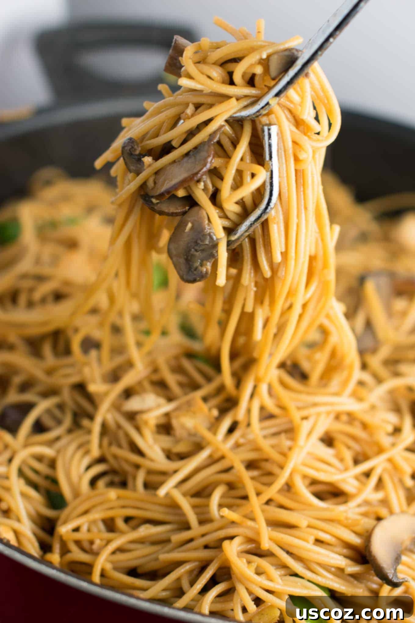 Effortless Tofu Lo Mein 9 Easy Tofu Lo Mein recipe with fresh vegetables and a simple sauce. Ready in minutes and packed full of protein! #tofu #lomein #vegan #vegetarian
