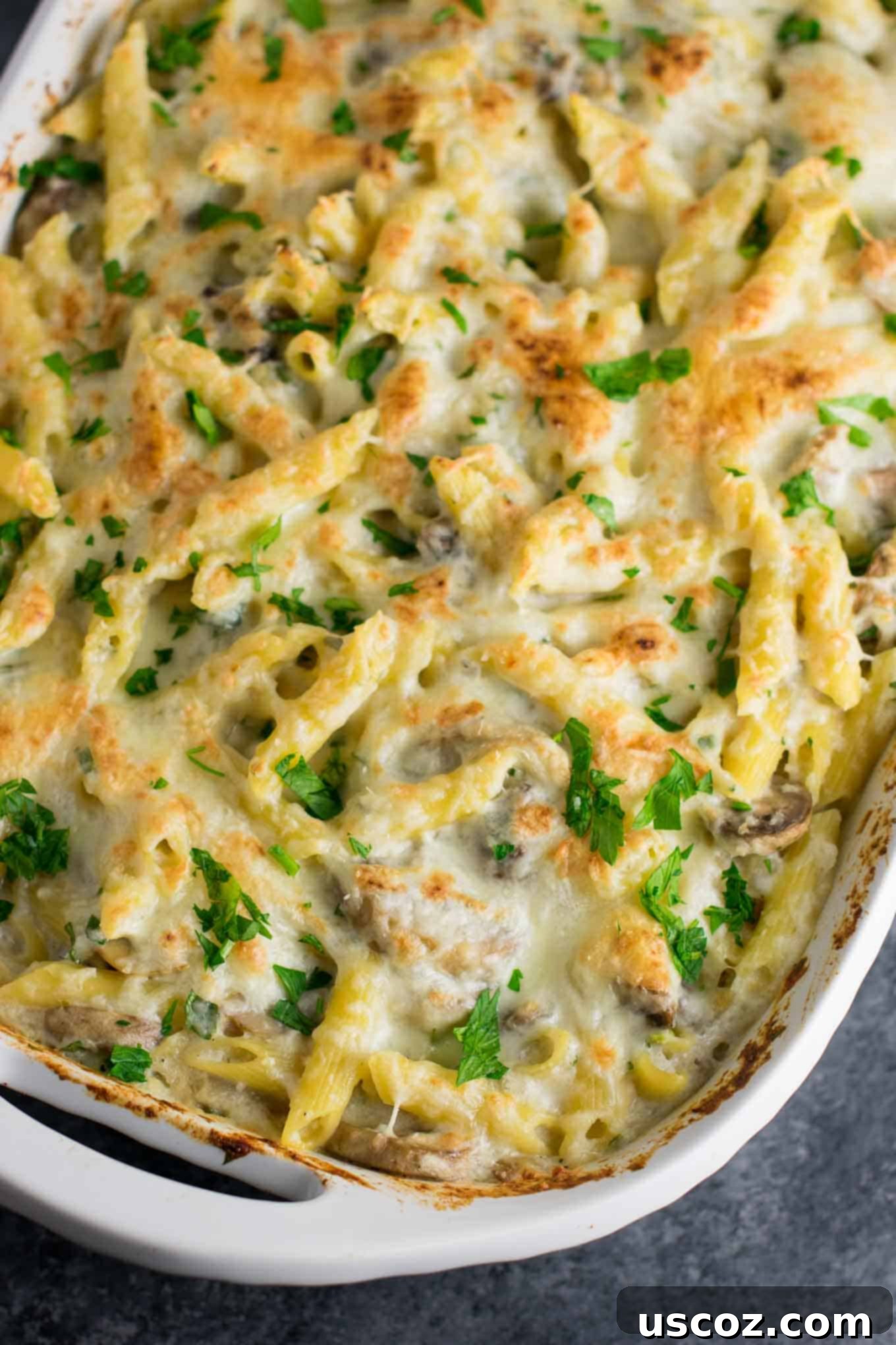 Mushroom cauliflower alfredo pasta bake recipe. A deliciously indulgent pasta bake lightened up with a homemade creamy cauliflower sauce. #caulifloweralfredo #vegetarian #pasta #dinner