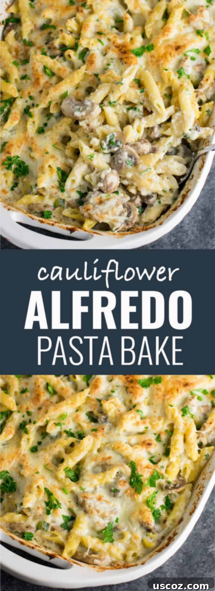 Mushroom cauliflower alfredo pasta bake recipe. A deliciously indulgent pasta bake lightened up with a homemade creamy cauliflower sauce. #caulifloweralfredo #vegetarian #pasta #dinner