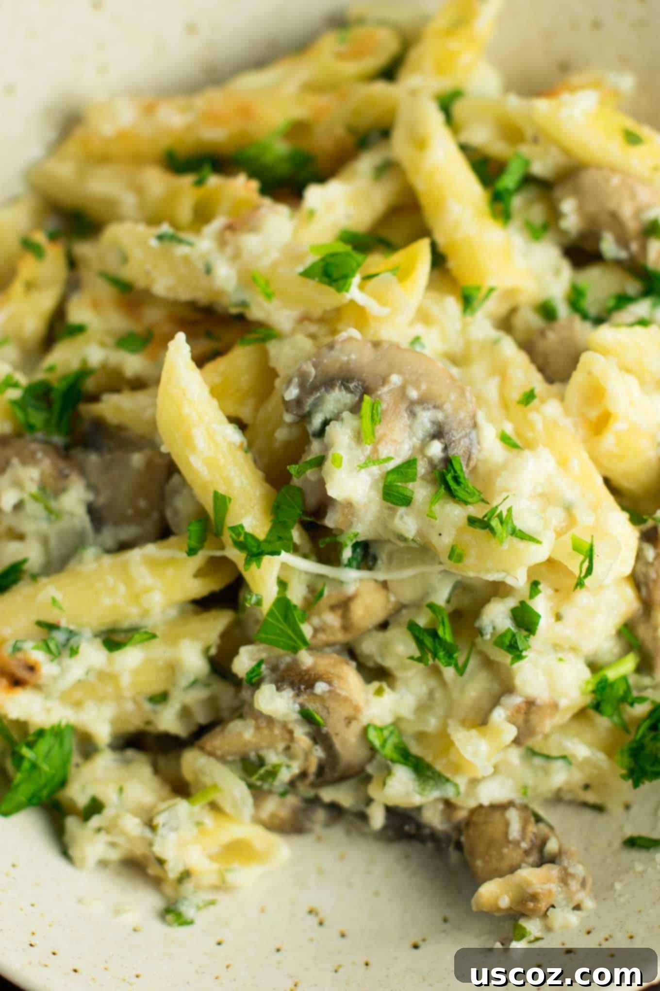 Mushroom cauliflower alfredo pasta bake recipe. A deliciously indulgent pasta bake lightened up with a homemade creamy cauliflower sauce. #caulifloweralfredo #vegetarian #pasta #dinner