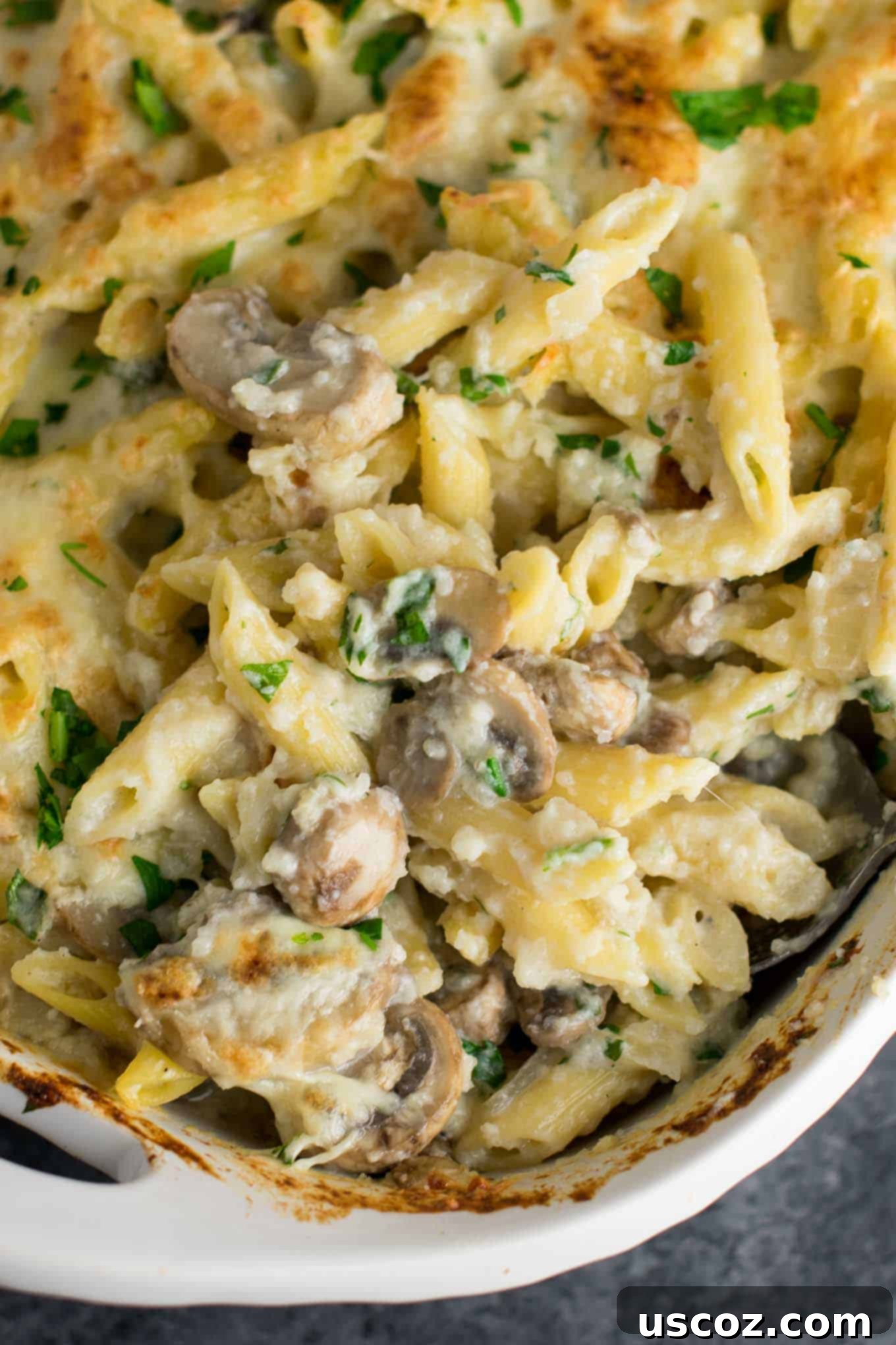 Mushroom cauliflower alfredo pasta bake recipe. A deliciously indulgent pasta bake lightened up with a homemade creamy cauliflower sauce. #caulifloweralfredo #vegetarian #pasta #dinner