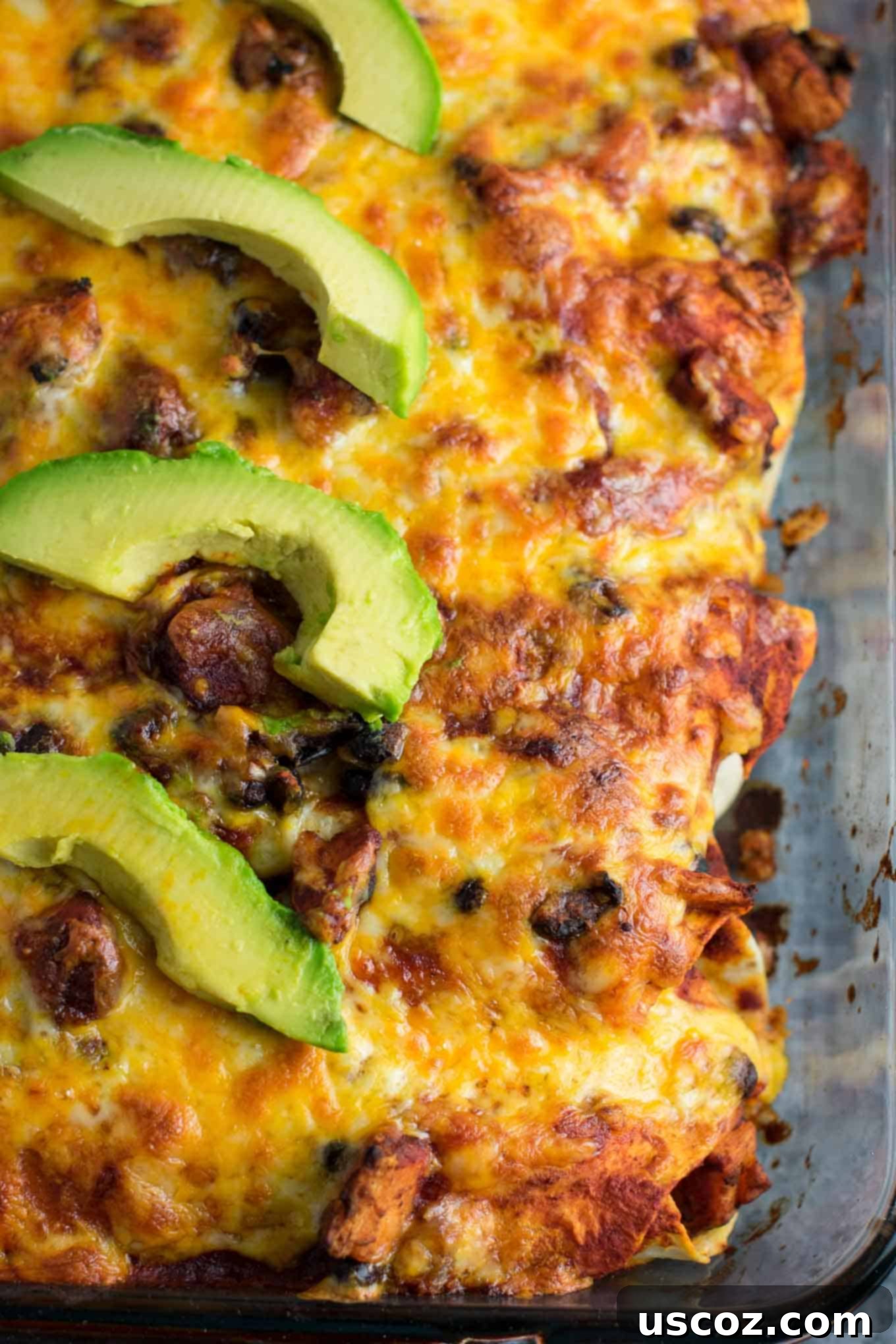 Southwestern Sweet Potato Black Bean Enchiladas 19 Full pan of smoky sweet potato black bean enchiladas, ready to serve