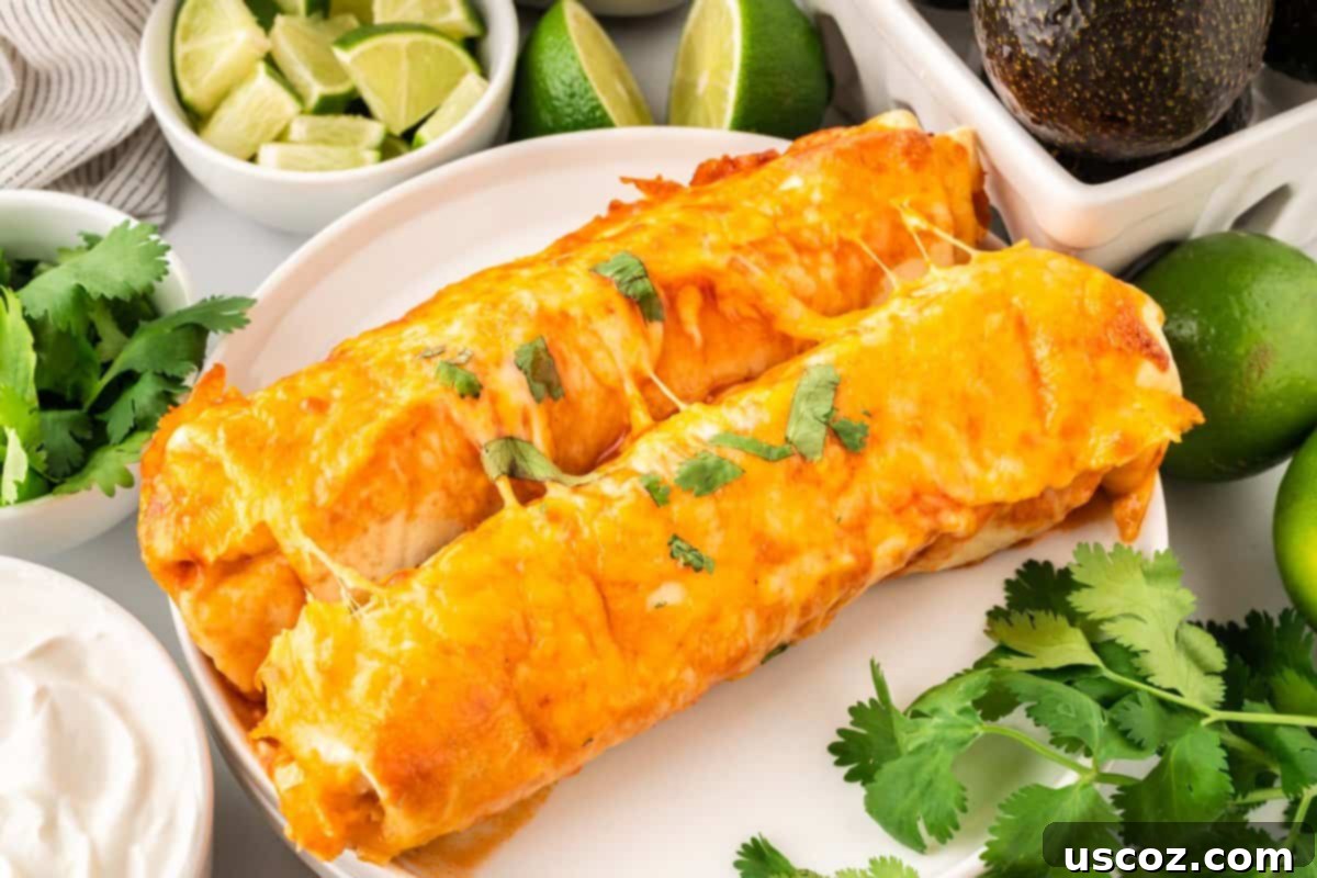 Southwestern Sweet Potato Black Bean Enchiladas 3 Two homemade sweet potato black bean enchiladas served on a plate