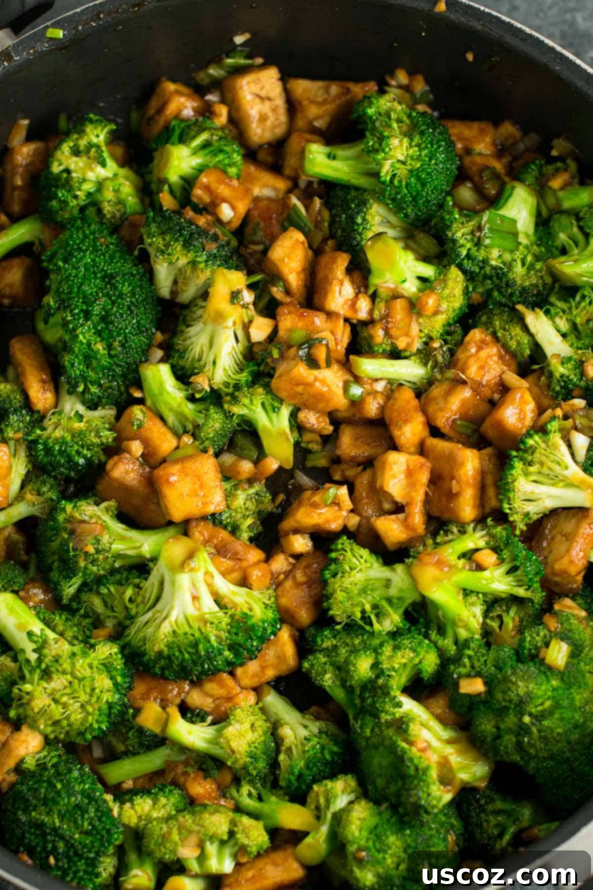 Flavorful Tofu and Broccoli Stir-Fry 2 broccoli tofu stir fry