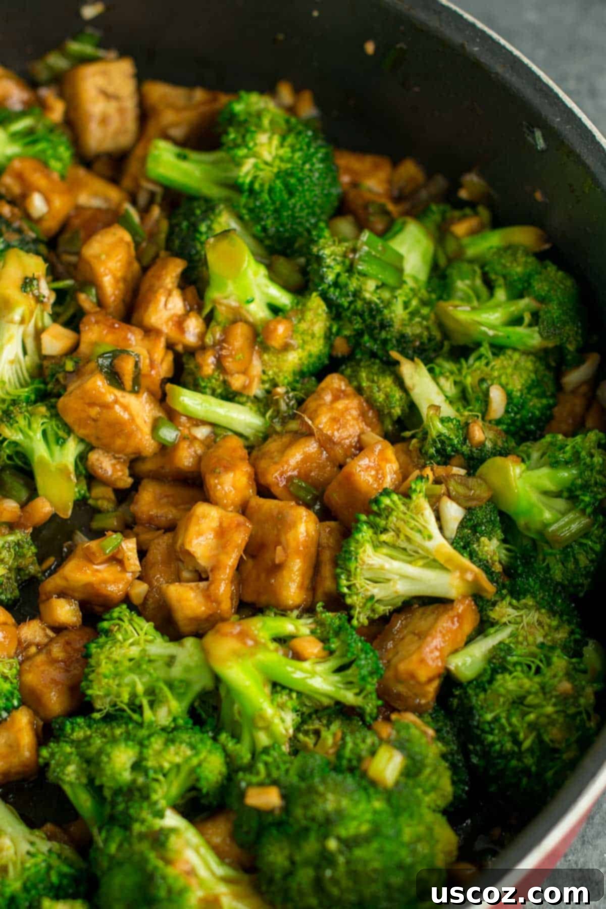 Flavorful Tofu and Broccoli Stir-Fry 11 broccoli tofu stir fry