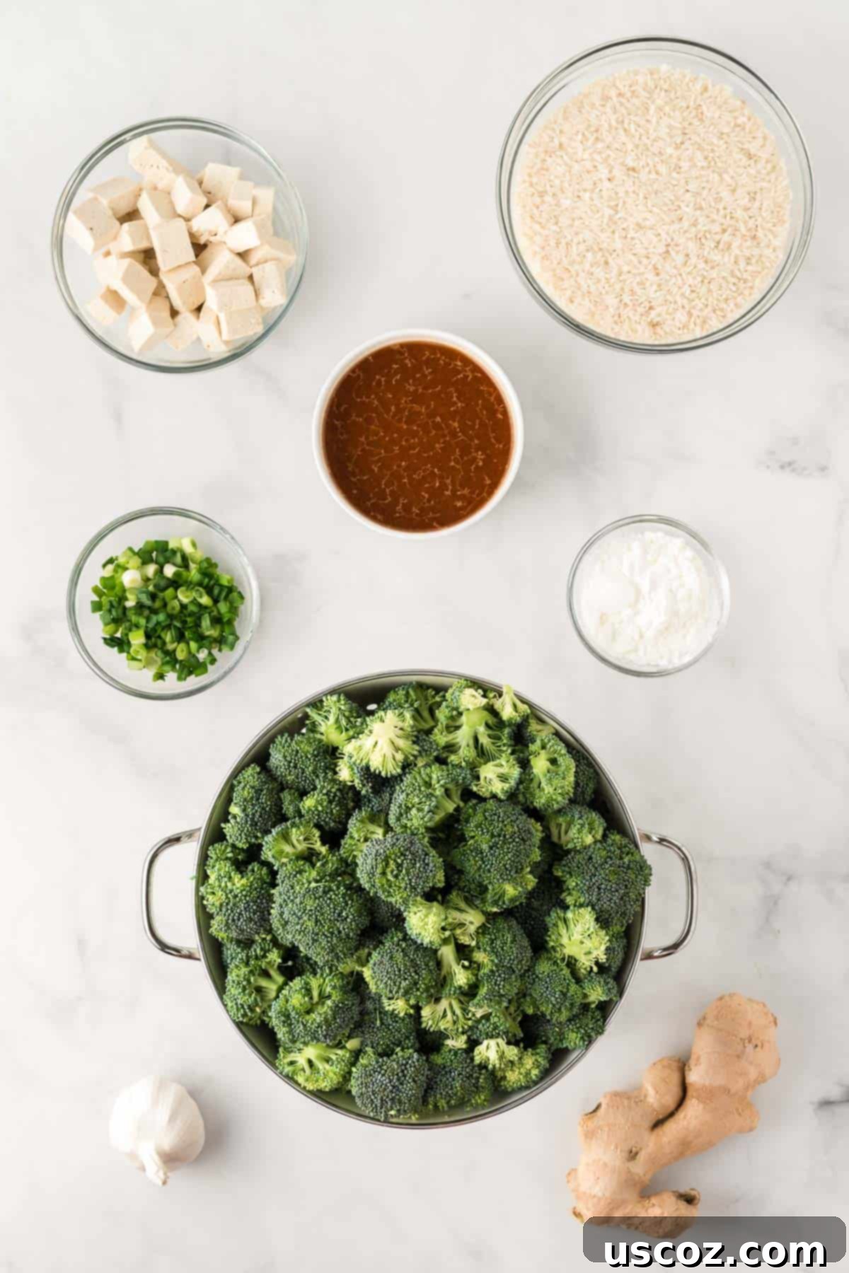 Flavorful Tofu and Broccoli Stir-Fry 4 ingredients needed to make broccoli tofu stir fry