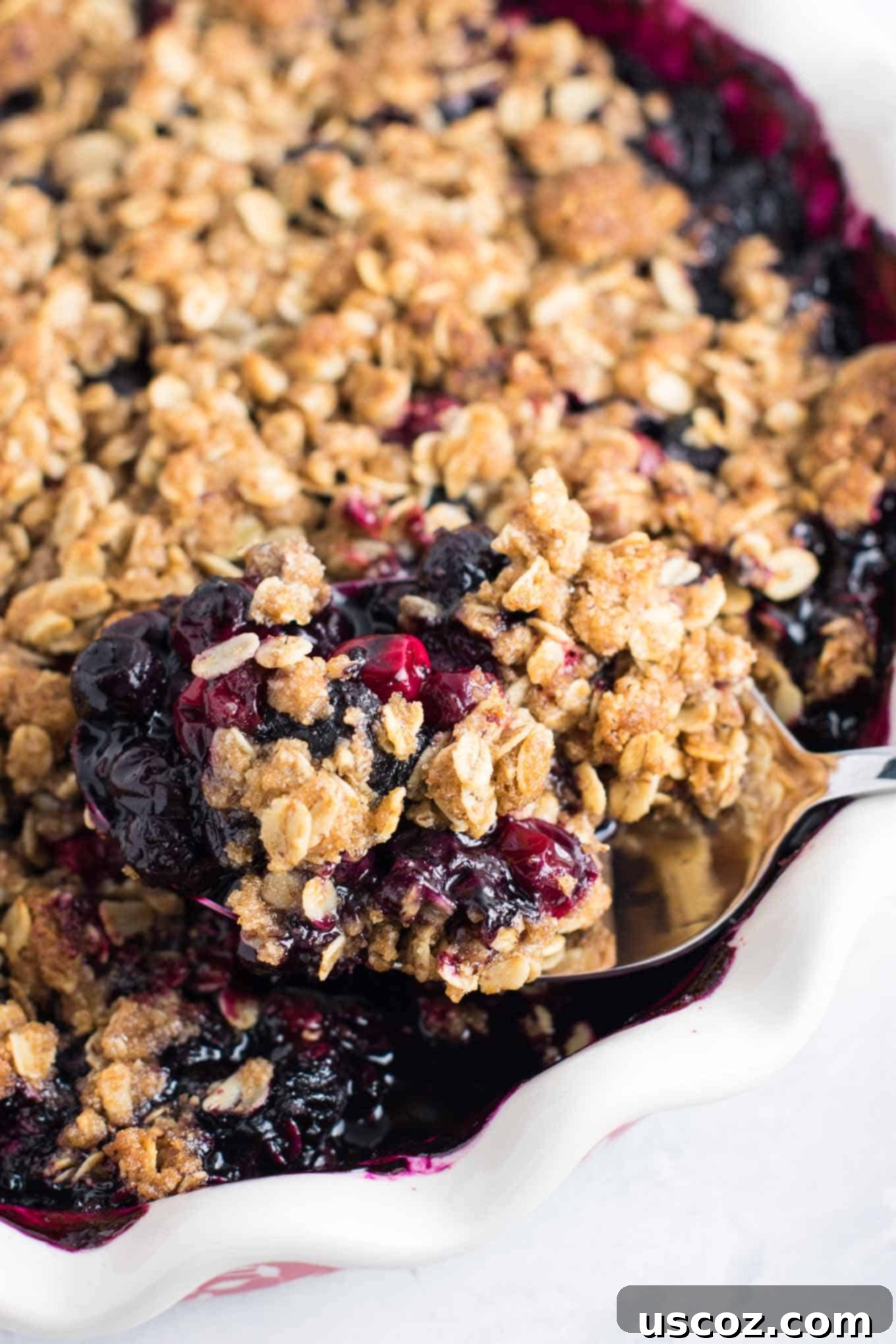 Sweet Tart Cranberry Blueberry Crisp 6 A spoon scooping out a generous portion of warm, freshly baked cranberry blueberry crisp.