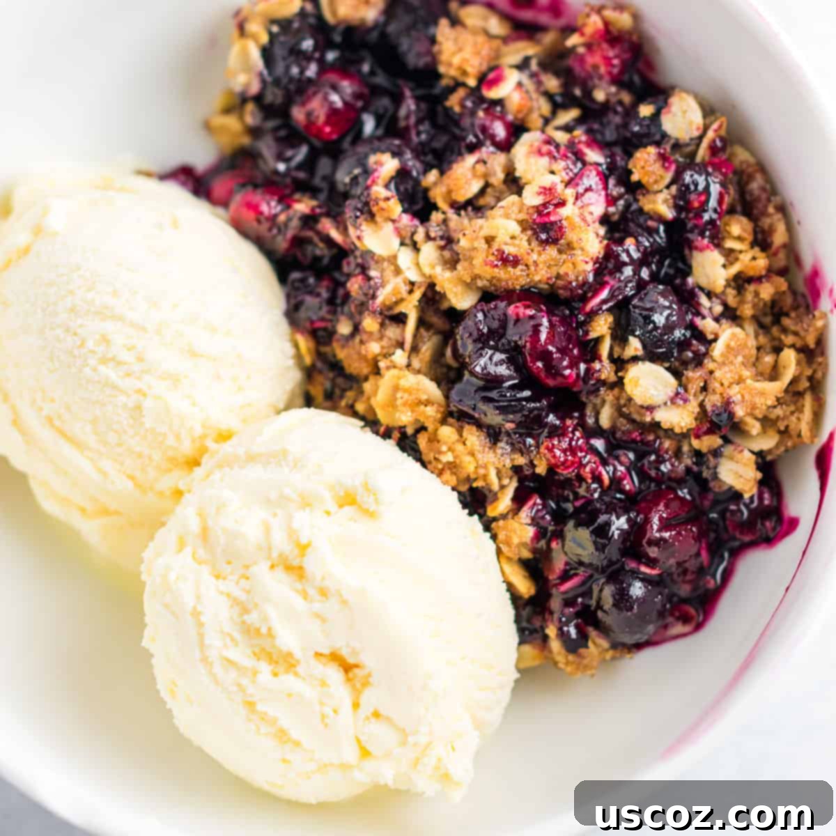 Sweet Tart Cranberry Blueberry Crisp 7 A bowl of cranberry blueberry crisp served warm with a scoop of melting vanilla ice cream on top.