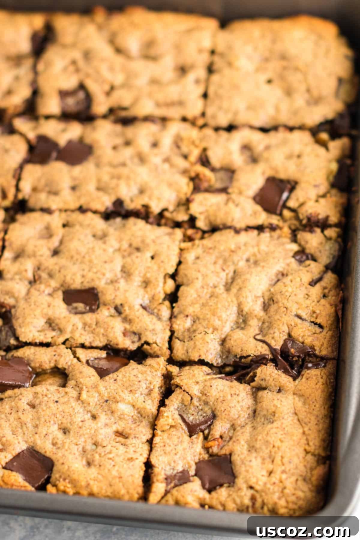Decadent Dark Chocolate Pecan Cookie Bars 4 Close-up of dark chocolate pecan cookie bars cut into perfect squares