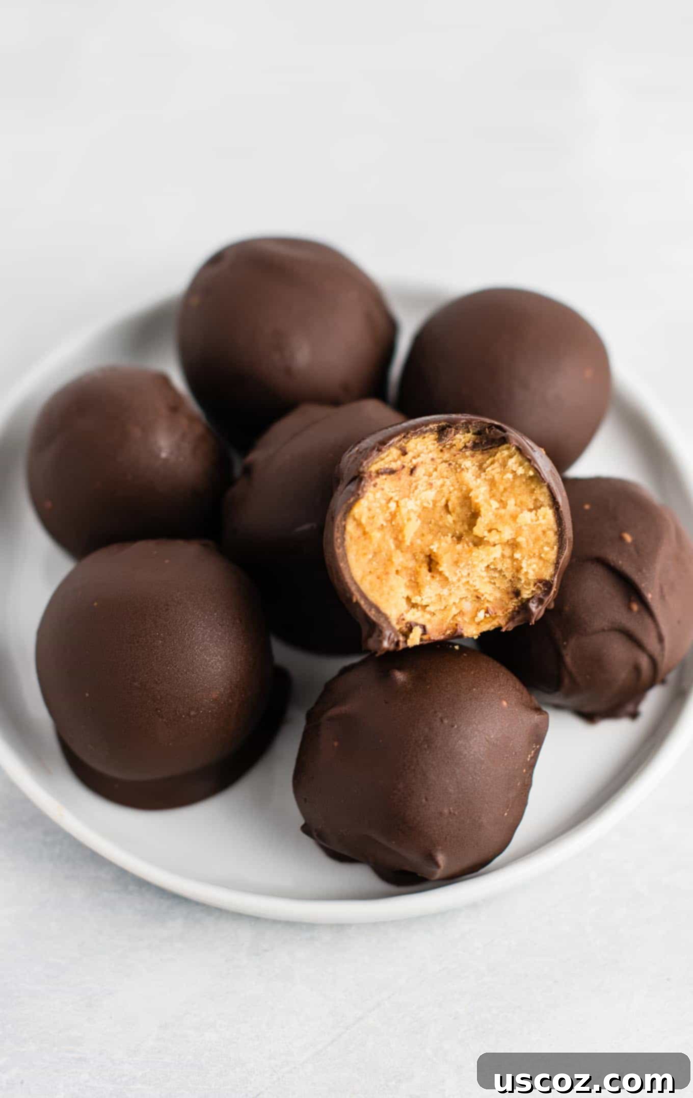 Decadent Yet Healthy No-Bake Peanut Butter Truffles 12 Finished no-bake peanut butter truffles beautifully arranged on a white plate, garnished with sea salt.