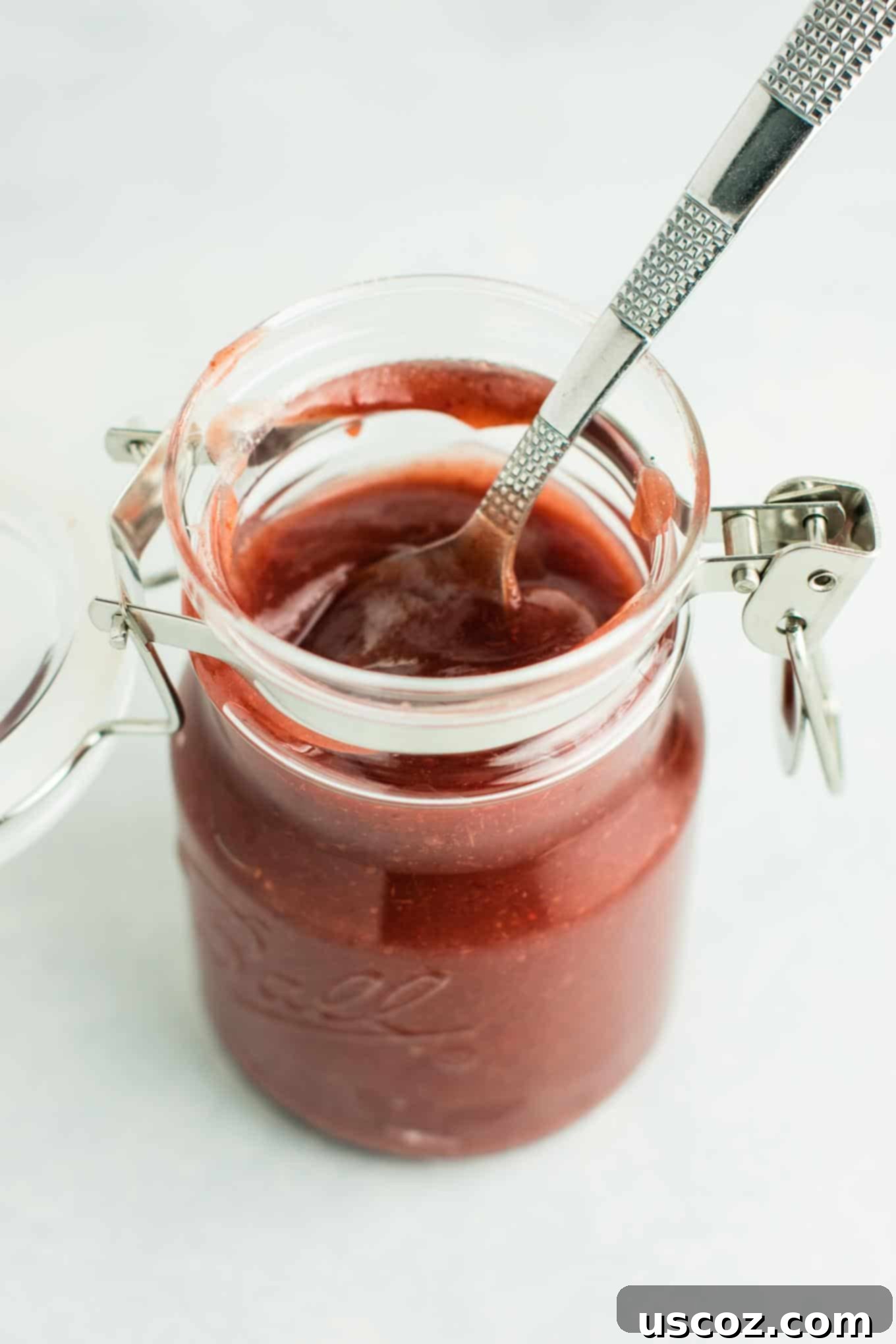 Ultimate Slow Cooker Cranberry Apple Butter 5 A close-up shot of the rich, smooth Cranberry Apple Butter after being blended, ready to be enjoyed.