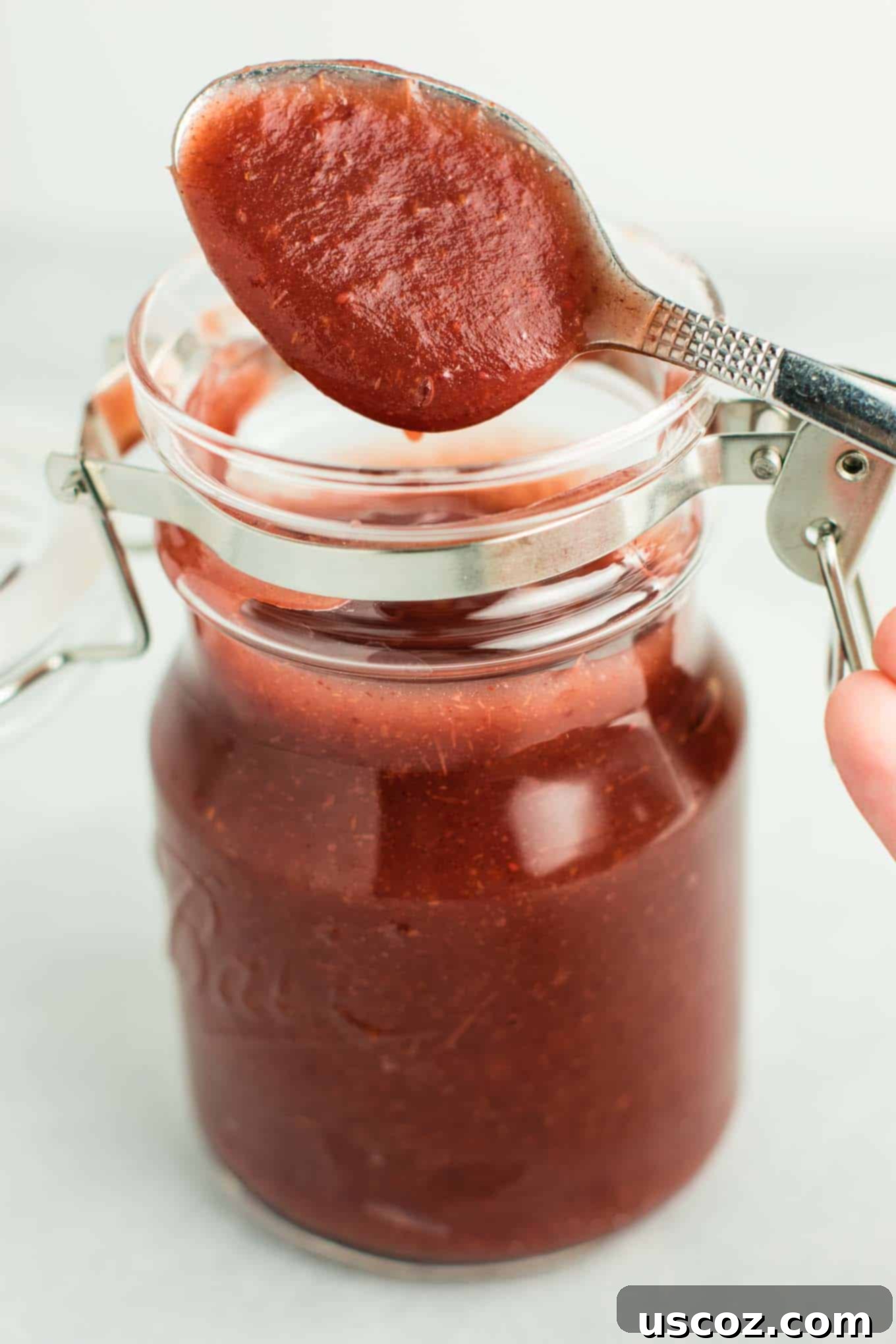 Ultimate Slow Cooker Cranberry Apple Butter 6 A small bowl of smooth, vibrant Cranberry Apple Butter, garnished with a few fresh cranberries.