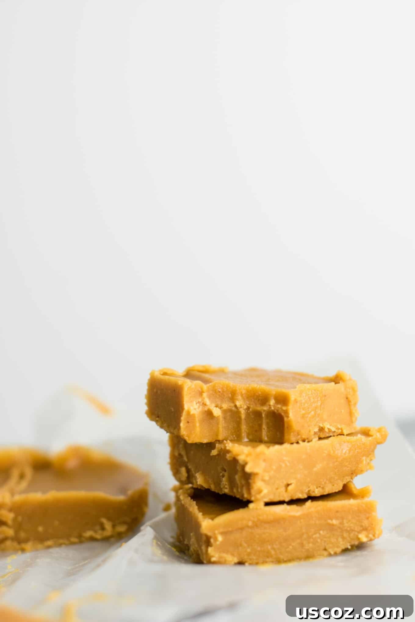 Decadent Plant-Based Peanut Butter Fudge 11 An inviting platter showcasing an assortment of healthy vegan peanut butter fudge squares, ready to be enjoyed as a perfect guilt-free snack or dessert.
