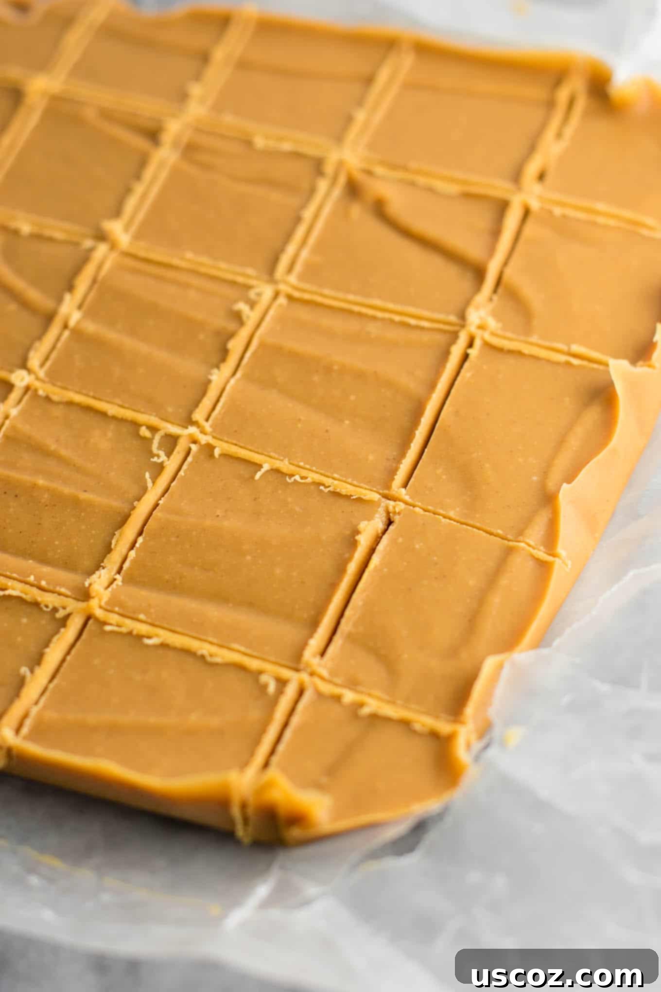 Decadent Plant-Based Peanut Butter Fudge 12 A close-up of several pieces of healthy vegan peanut butter fudge, some with a bite taken, highlighting the homemade quality and deliciousness of this dairy-free and gluten-free dessert.
