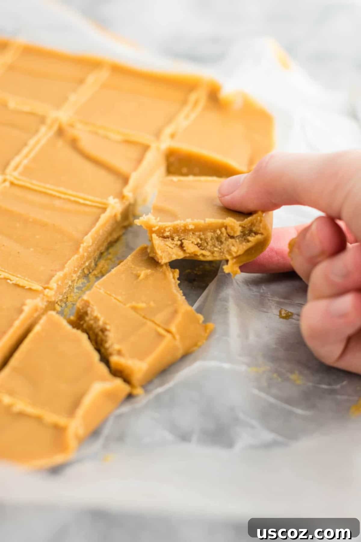 Decadent Plant-Based Peanut Butter Fudge 13 Two pieces of healthy vegan peanut butter fudge elegantly presented on a plate, showcasing the simplicity and beauty of this easy no-bake dessert.