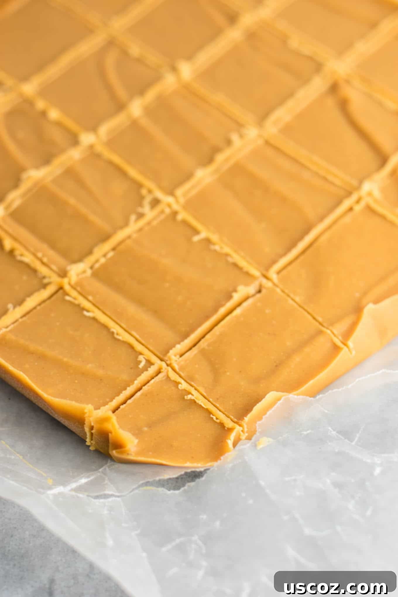 Decadent Plant-Based Peanut Butter Fudge 14 A top-down view of multiple squares of healthy vegan peanut butter fudge, perfectly uniform and inviting, demonstrating its consistent texture and appealing presentation.