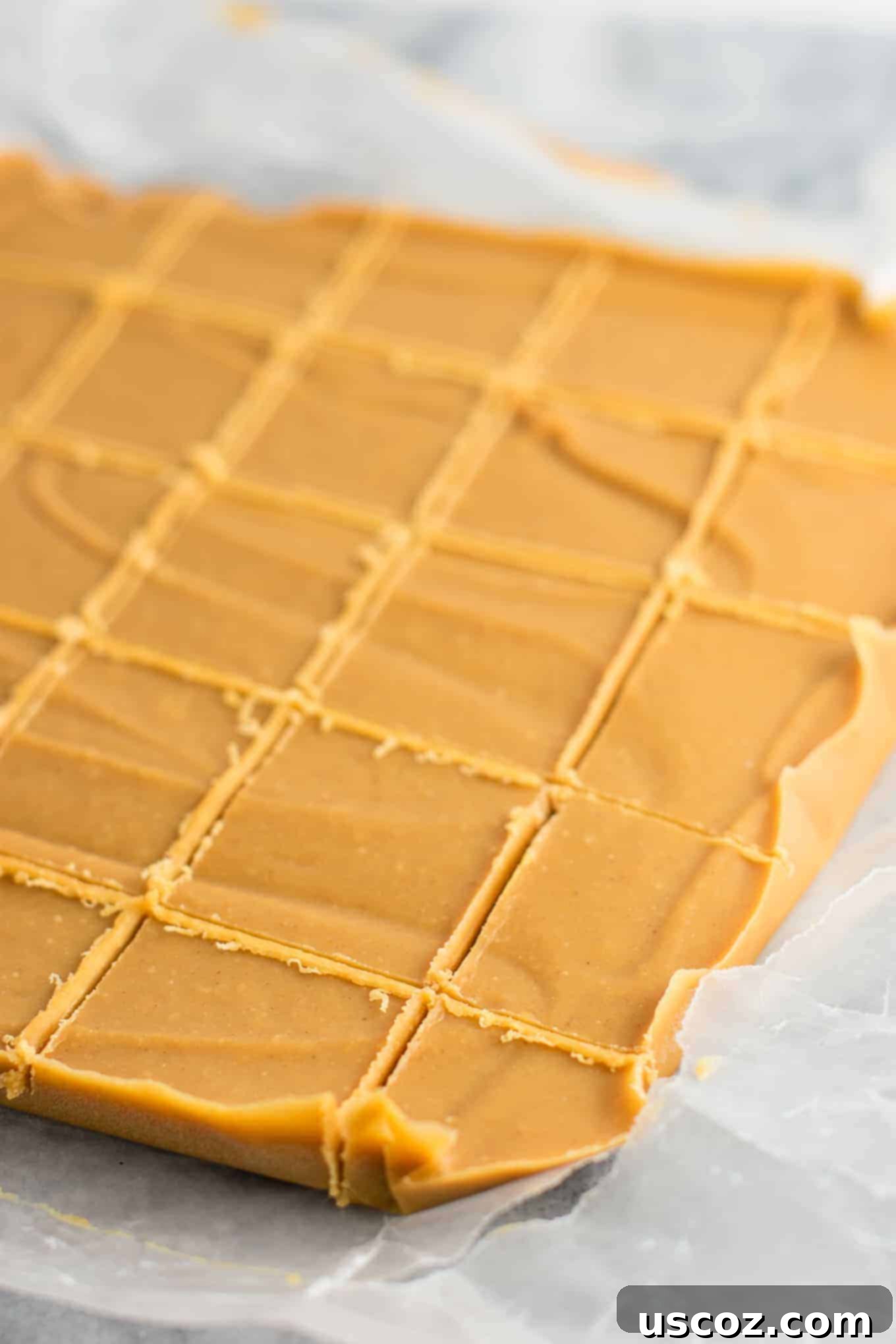 Decadent Plant-Based Peanut Butter Fudge 3 A stack of perfectly cut, healthy vegan peanut butter fudge squares, ready to be served. This dairy-free, gluten-free treat is a guilt-free indulgence.