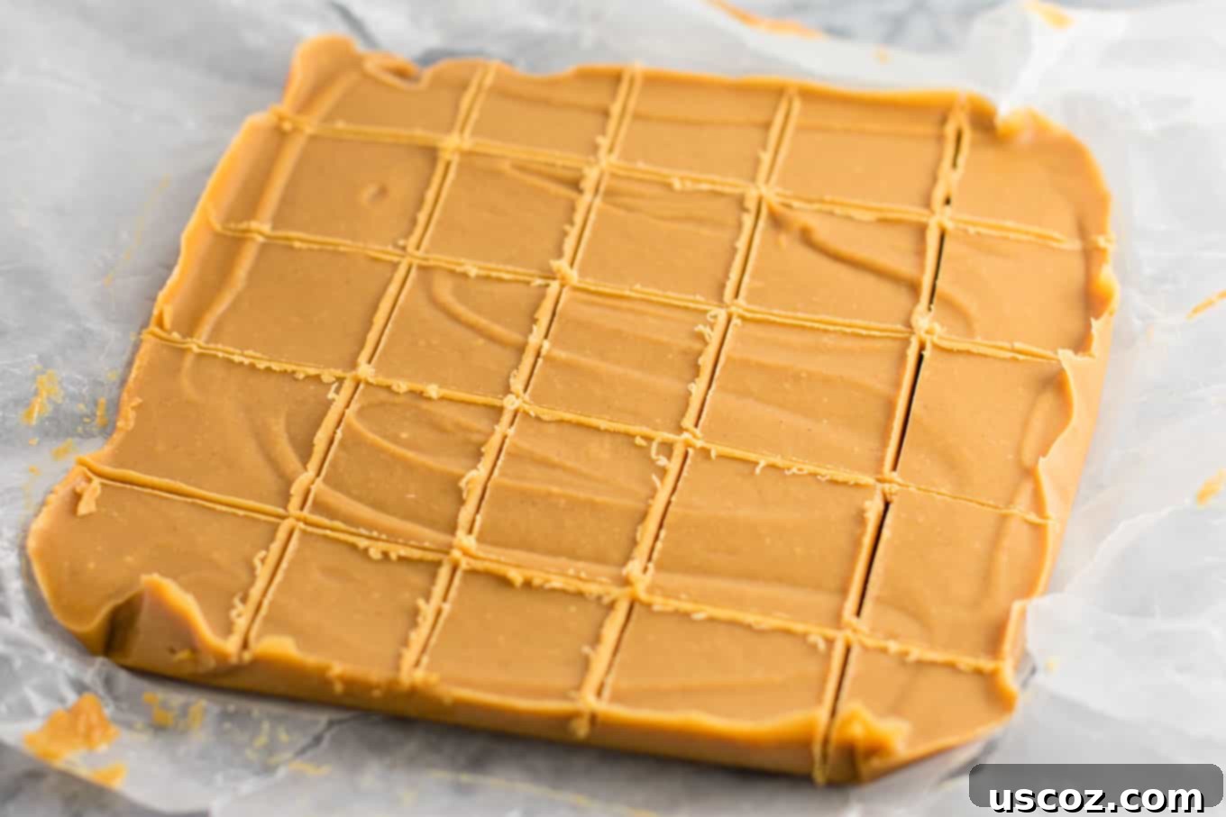 Decadent Plant-Based Peanut Butter Fudge 6 Freshly cut squares of healthy vegan peanut butter fudge arranged on parchment paper, ready for storage or immediate enjoyment. A perfect dairy-free and gluten-free snack.