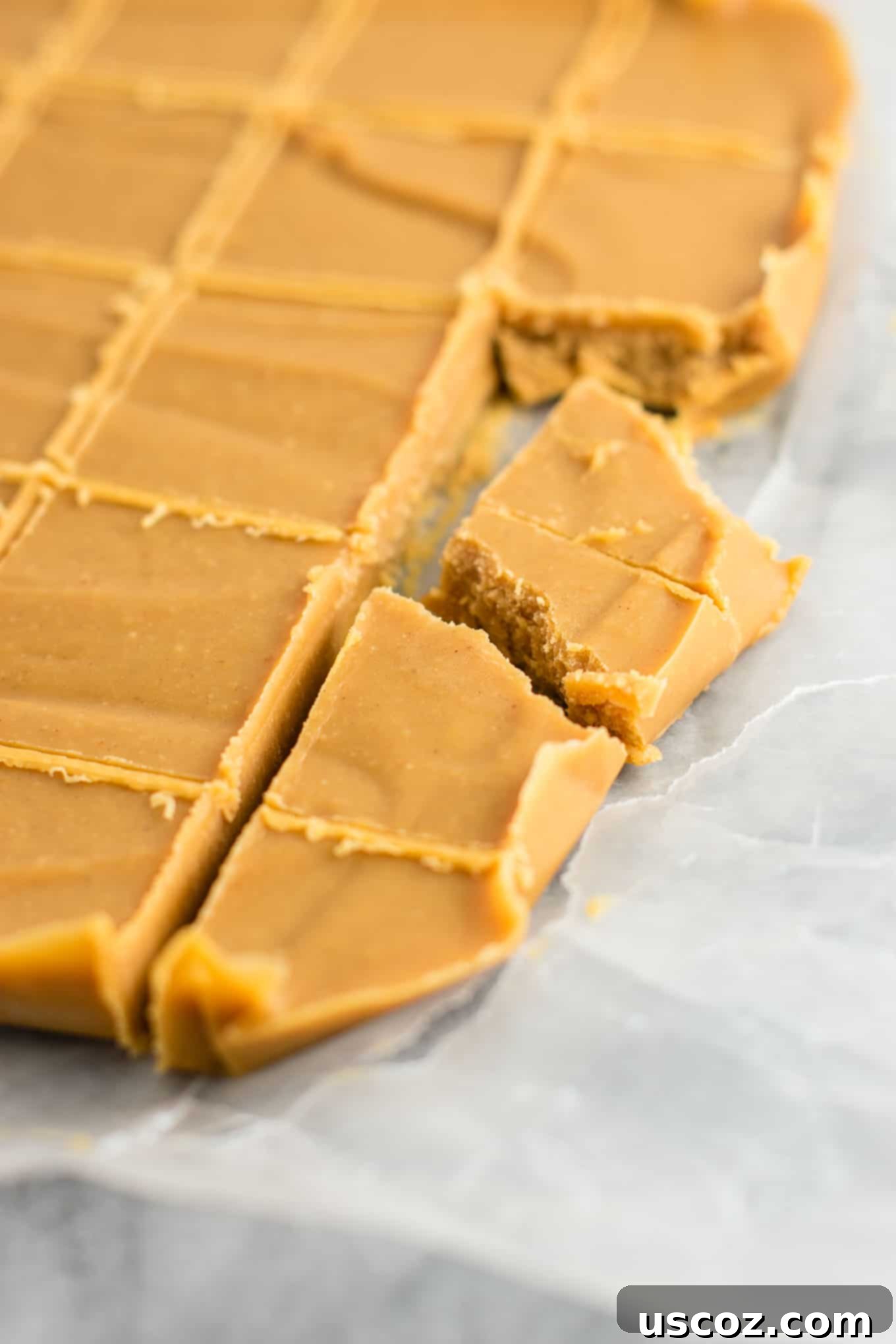 Decadent Plant-Based Peanut Butter Fudge 7 A close-up shot of a single square of healthy vegan peanut butter fudge, emphasizing its dense, smooth consistency and inviting texture, perfect for a guilt-free indulgence.