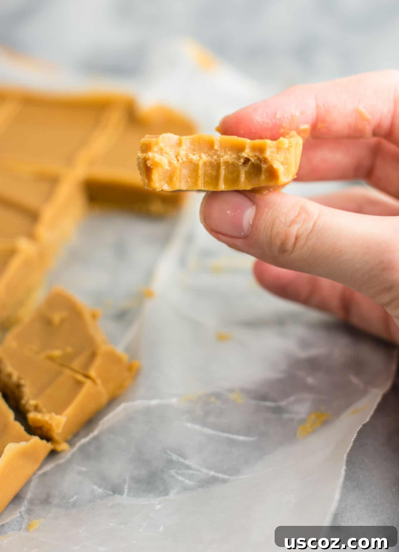 Decadent Plant-Based Peanut Butter Fudge 8 An array of healthy vegan peanut butter fudge squares, artfully arranged to highlight their rich color and appealing texture, inviting a guilt-free taste.