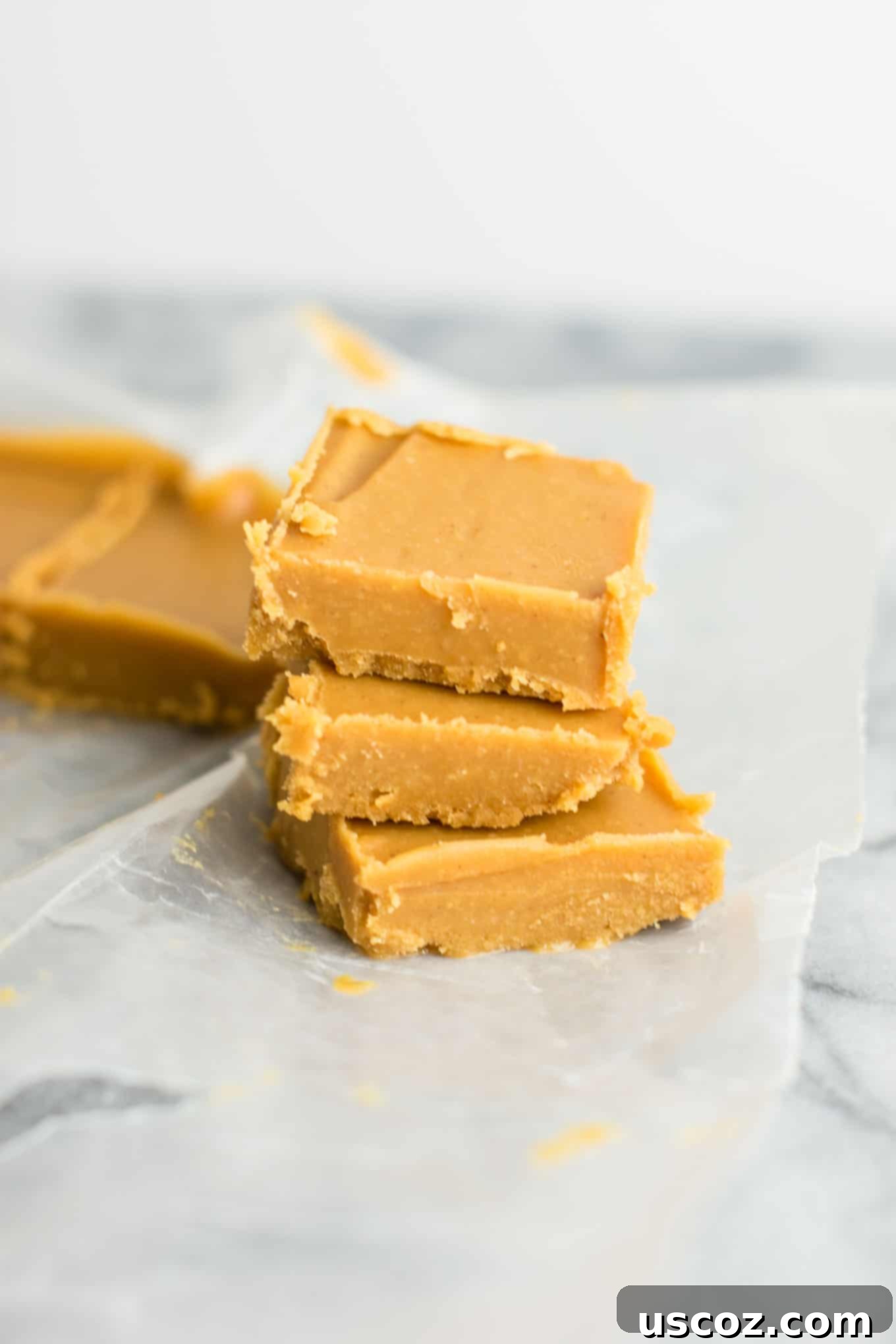 Decadent Plant-Based Peanut Butter Fudge 9 A generous stack of homemade vegan peanut butter fudge, emphasizing its delightful texture and the joy of a healthy, homemade dessert experience.