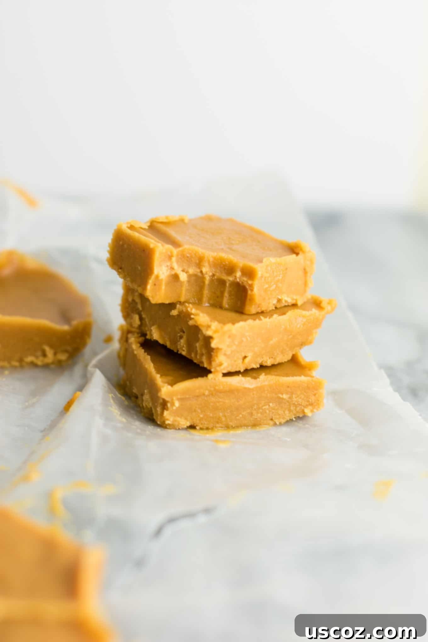 Decadent Plant-Based Peanut Butter Fudge 10 A close-up of a square of healthy vegan peanut butter fudge, subtly topped with chocolate chips, inviting customization for this dairy-free and gluten-free treat.