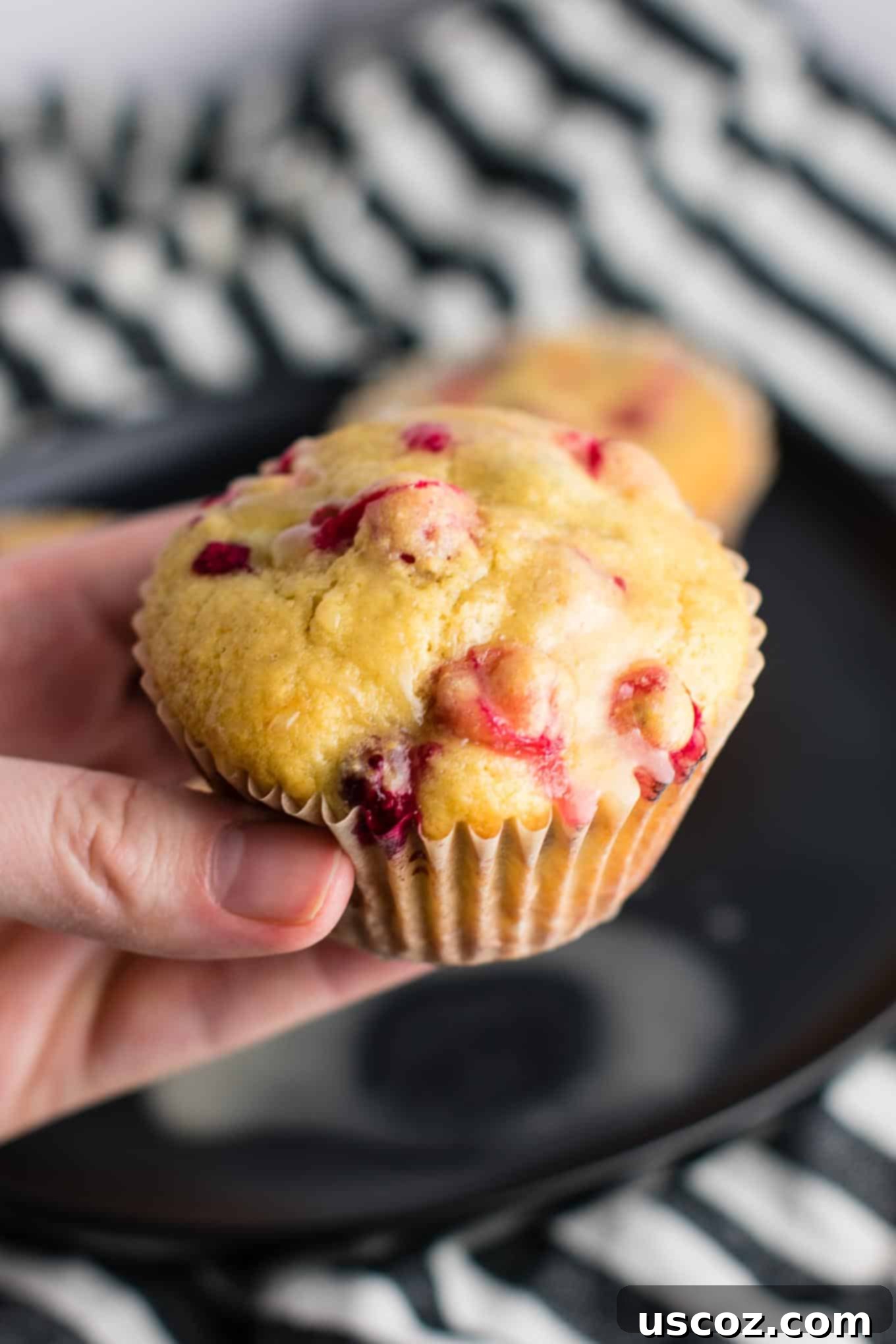 Wholesome Cranberry Orange Muffins 3 Close-up of a healthy cranberry orange muffin, showcasing the fluffy texture and vibrant cranberries.