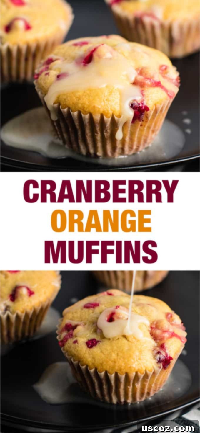 Wholesome Cranberry Orange Muffins 10 Pin-friendly image of healthy cranberry orange muffins with Greek yogurt, styled for Christmas breakfast.