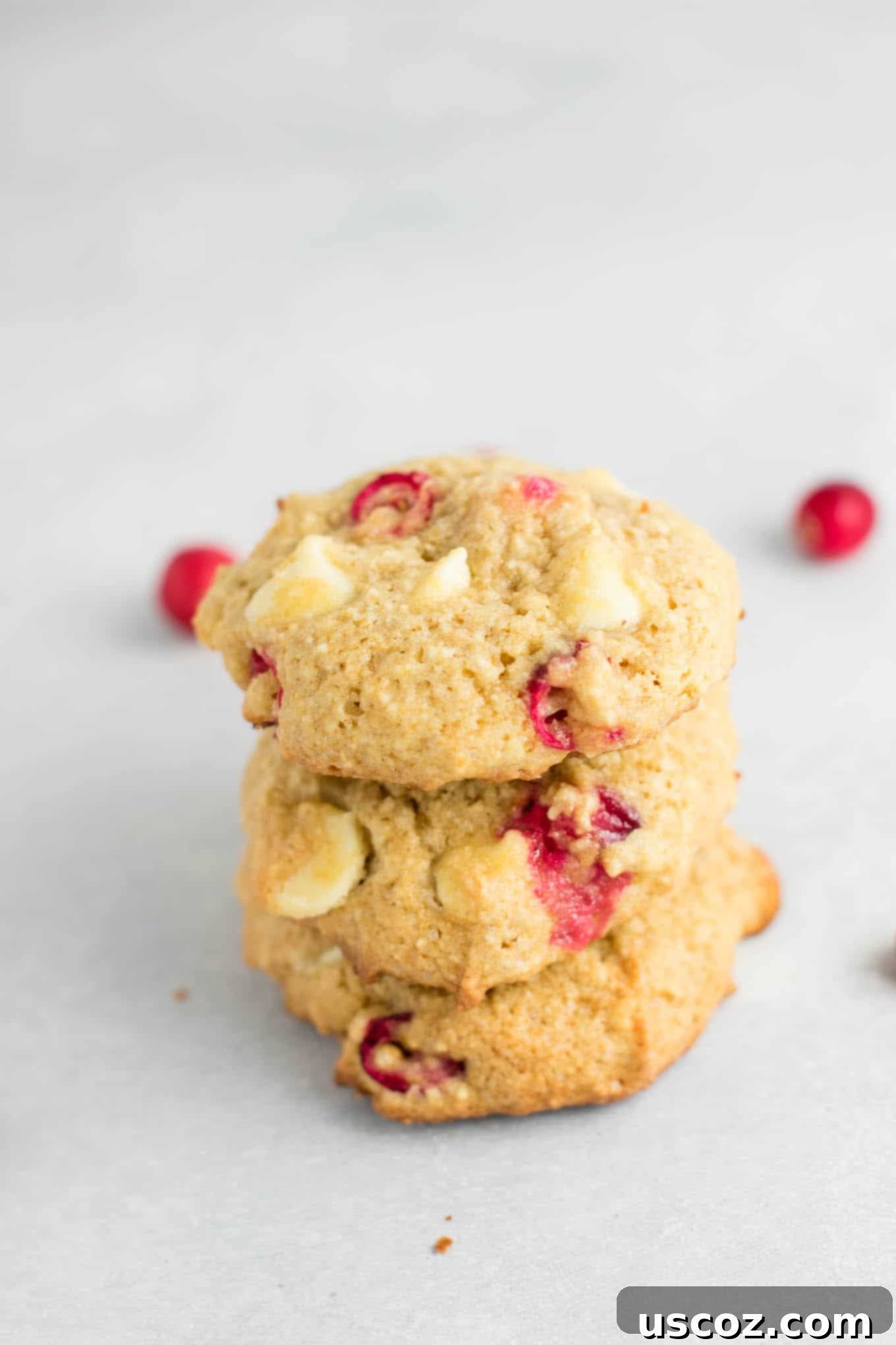 Delightful Cranberry White Chocolate Chip Cookies 5 Delicious cranberry white chocolate chip cookies artfully arranged on a rustic wooden board.