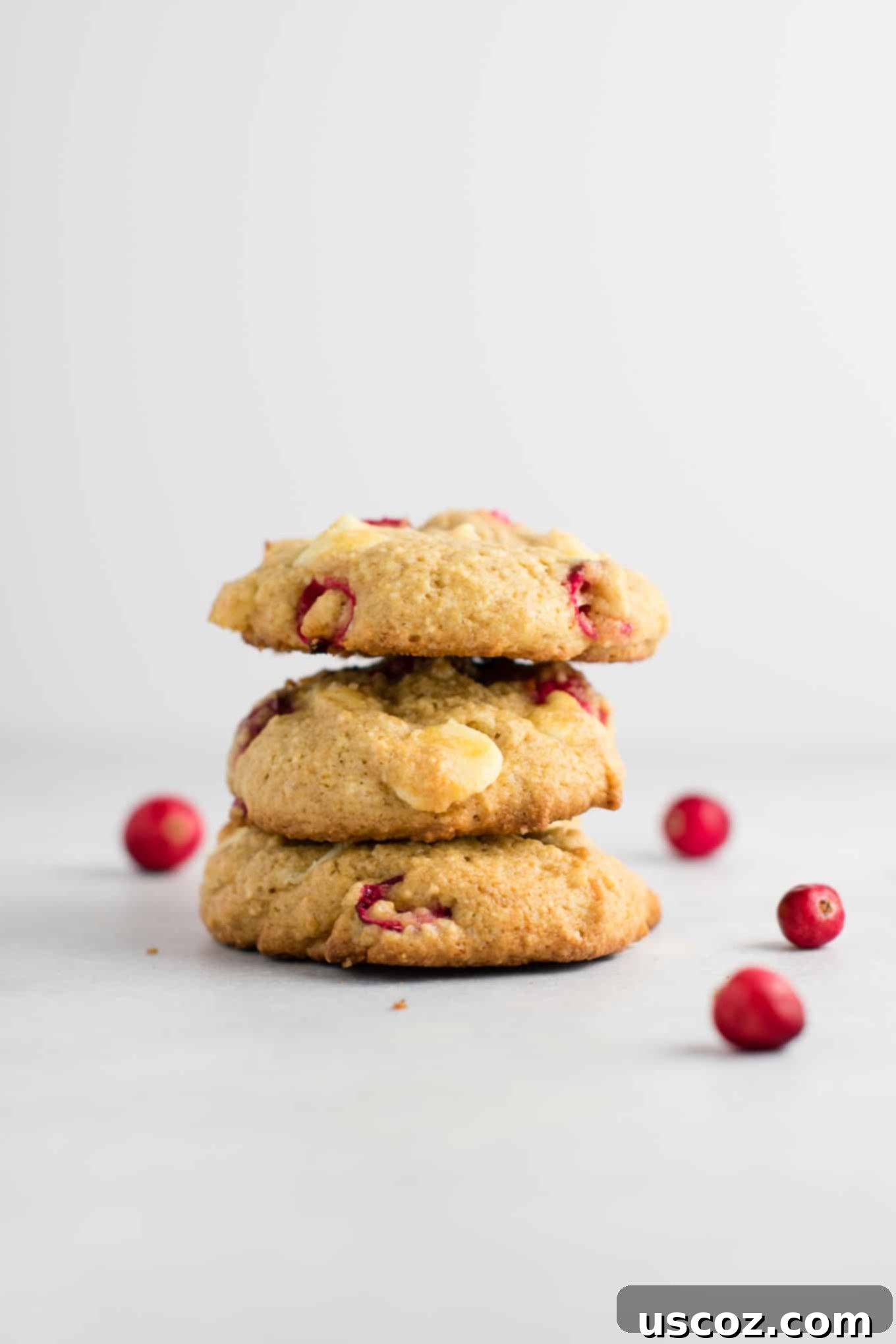 Delightful Cranberry White Chocolate Chip Cookies 6 A close-up of the delicate crumb and vibrant cranberries in a freshly baked white chocolate chip cookie.