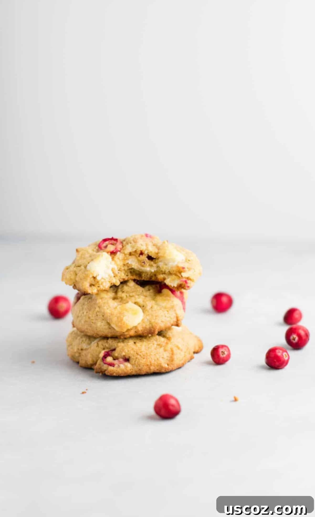Delightful Cranberry White Chocolate Chip Cookies 8 An irresistible close-up of a single cranberry white chocolate chip cookie, ready to be enjoyed.
