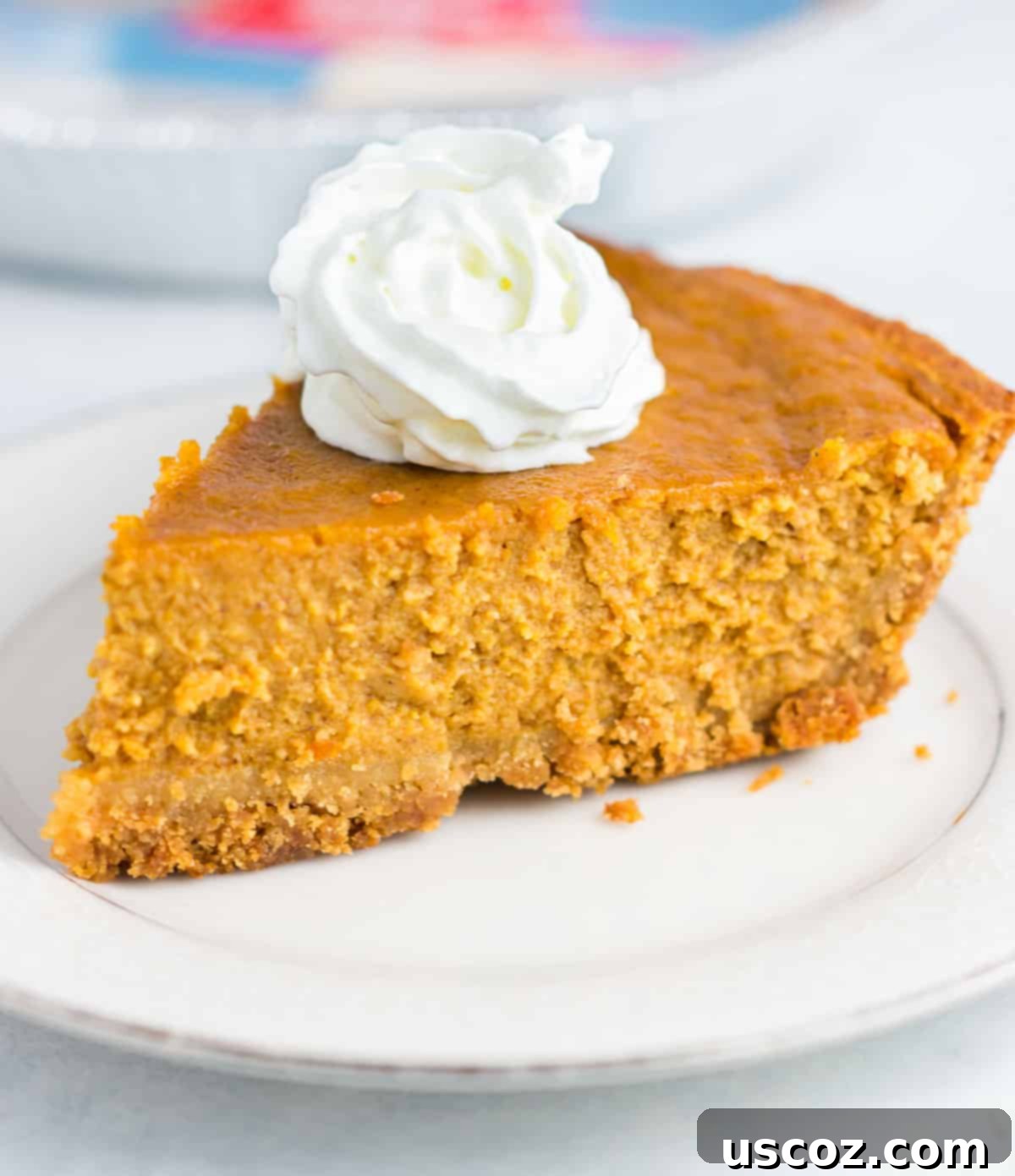 Simple Gluten-Free Pumpkin Pie 2 a slice of pumpkin pie on a plate topped with whipped cream
