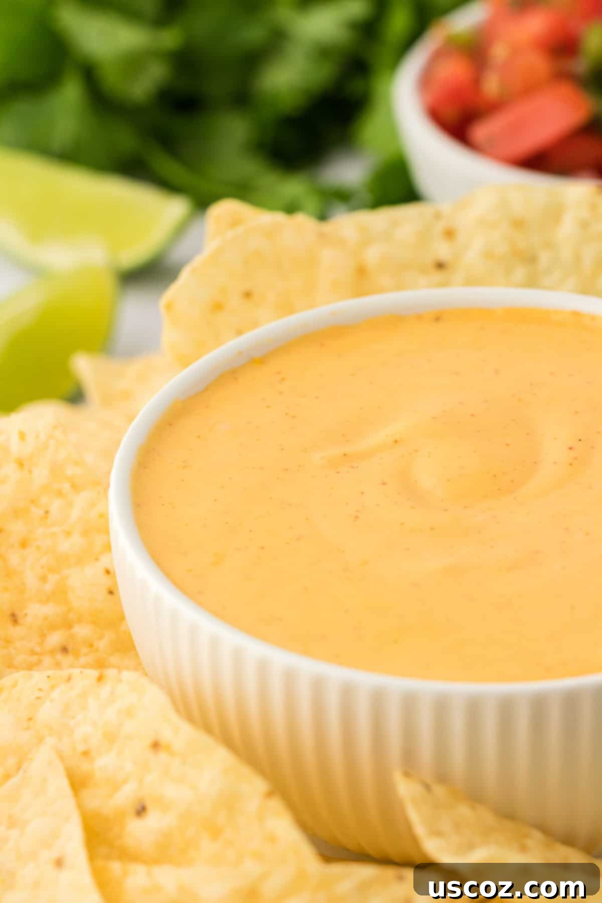 Cheesy Nacho Dip in Minutes 13 5 minute nacho cheese sauce