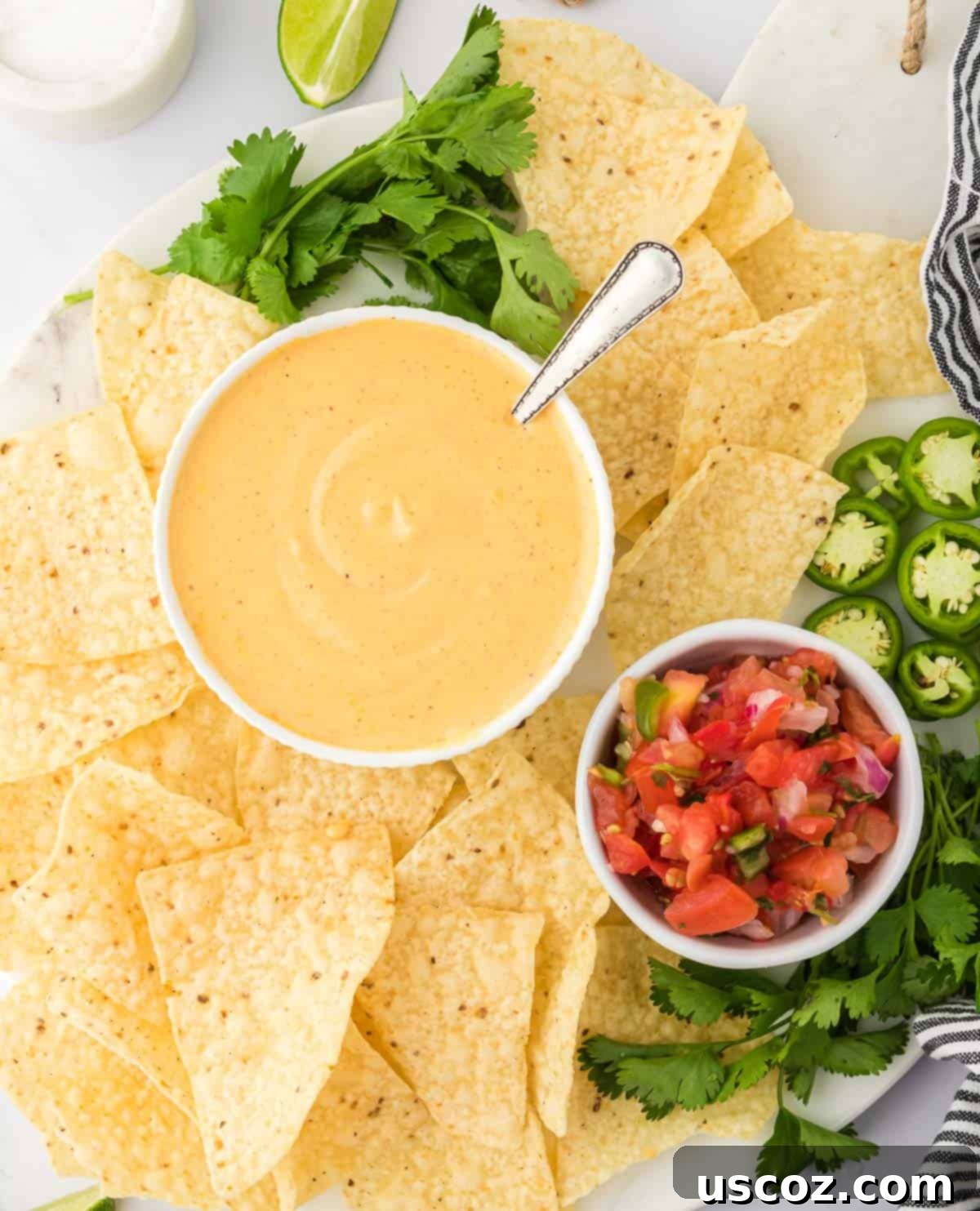 Cheesy Nacho Dip in Minutes 3 nacho cheese sauce with tortilla chips
